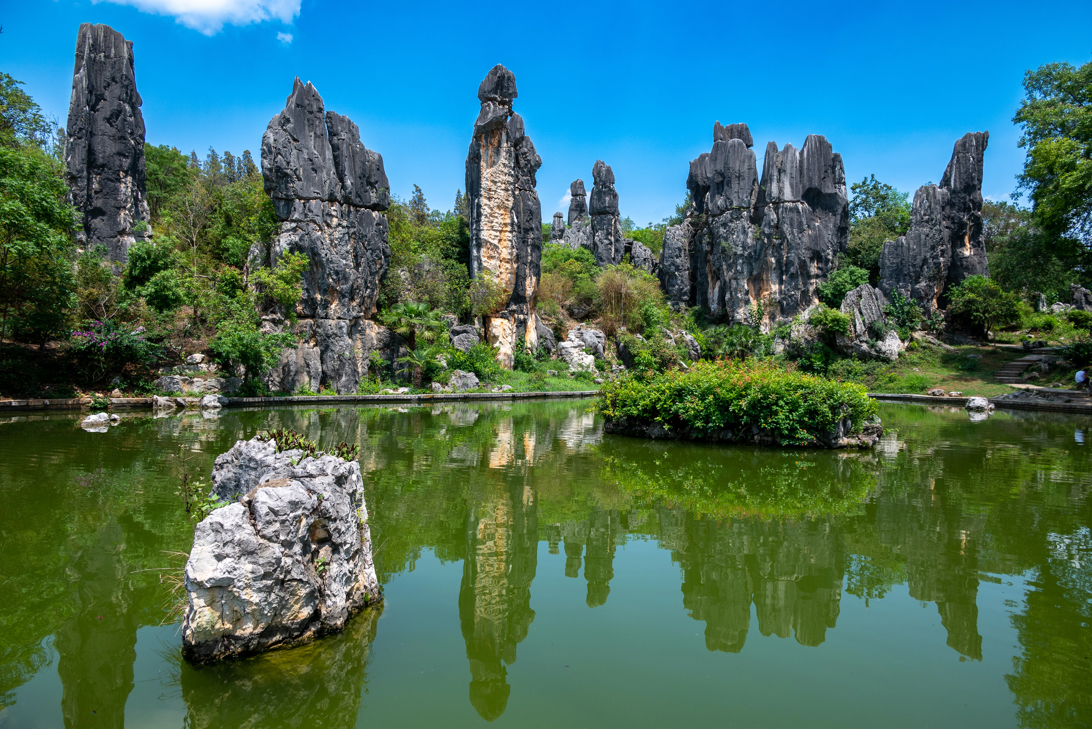 Altas y escarpadas formaciones rocosas de karst gris que se alzan sobre árboles verdes y se reflejan en un estanque verde y tranquilo bajo un cielo azul, con una gran roca en el agua en primer plano.