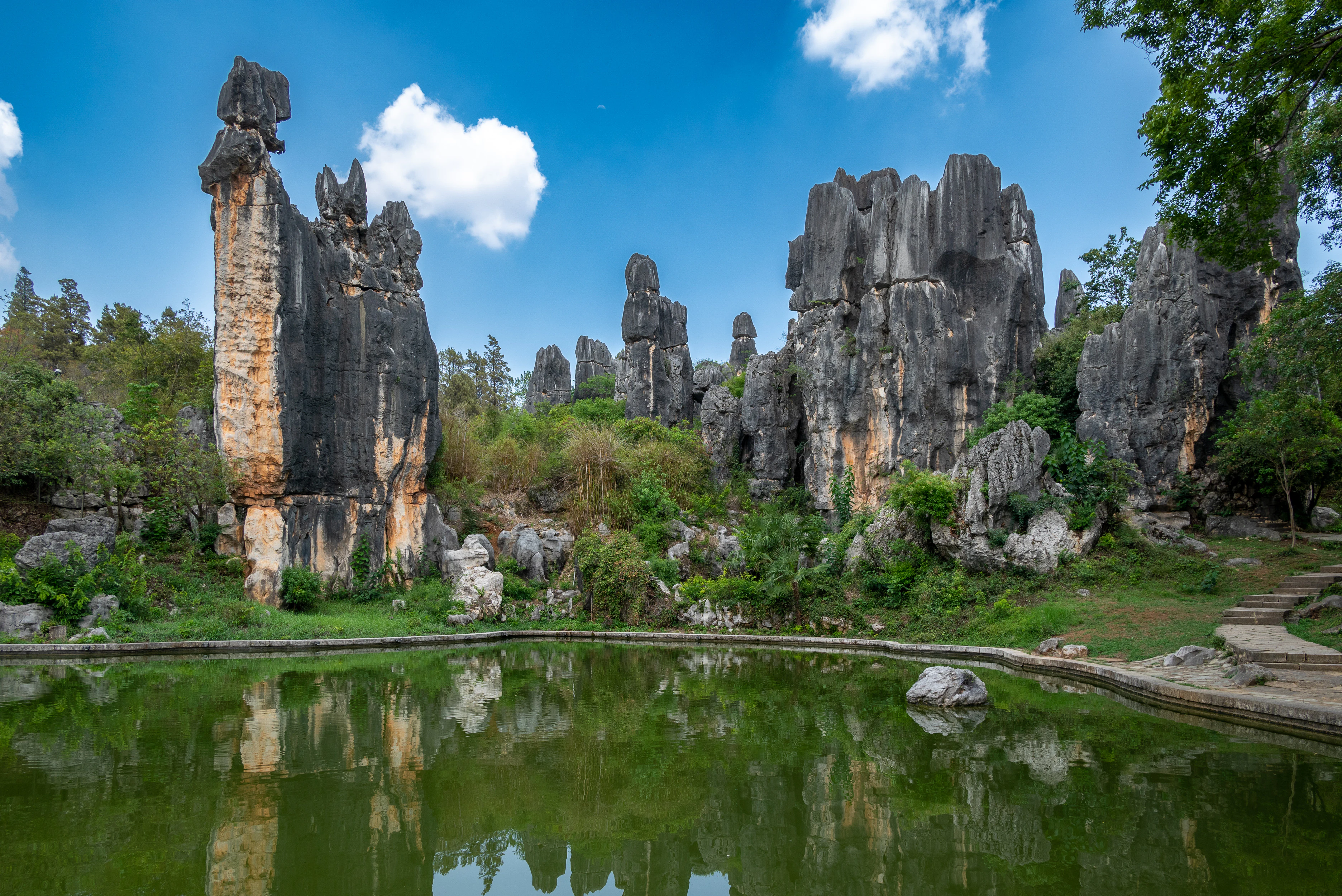 Formaciones rocosas verticales de piedra caliza gris que se elevan sobre la vegetación verde, reflejadas en un estanque verde en primer plano, bajo un cielo azul con nubes blancas.