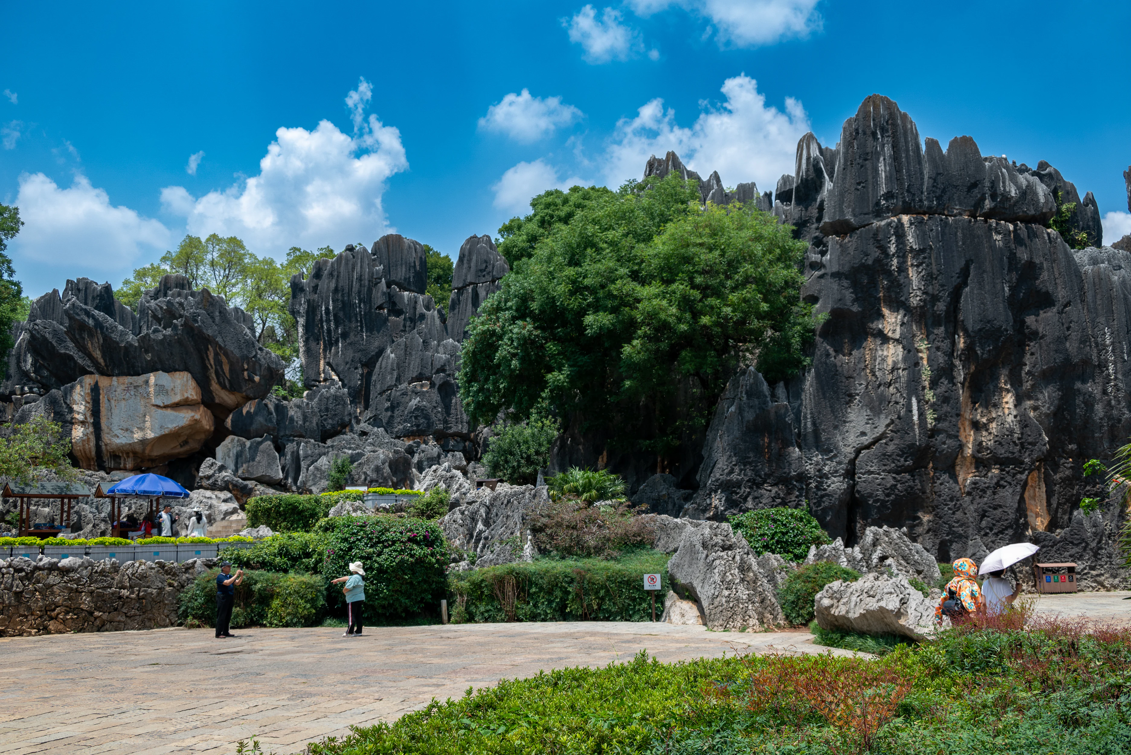 Altas columnas y formaciones rocosas de karst gris oscuro que se elevan sobre una plaza pavimentada con árboles y arbustos verdes, bajo un cielo azul brillante con nubes blancas. Se pueden ver algunos visitantes en primer plano, algunos sosteniendo paraguas.
