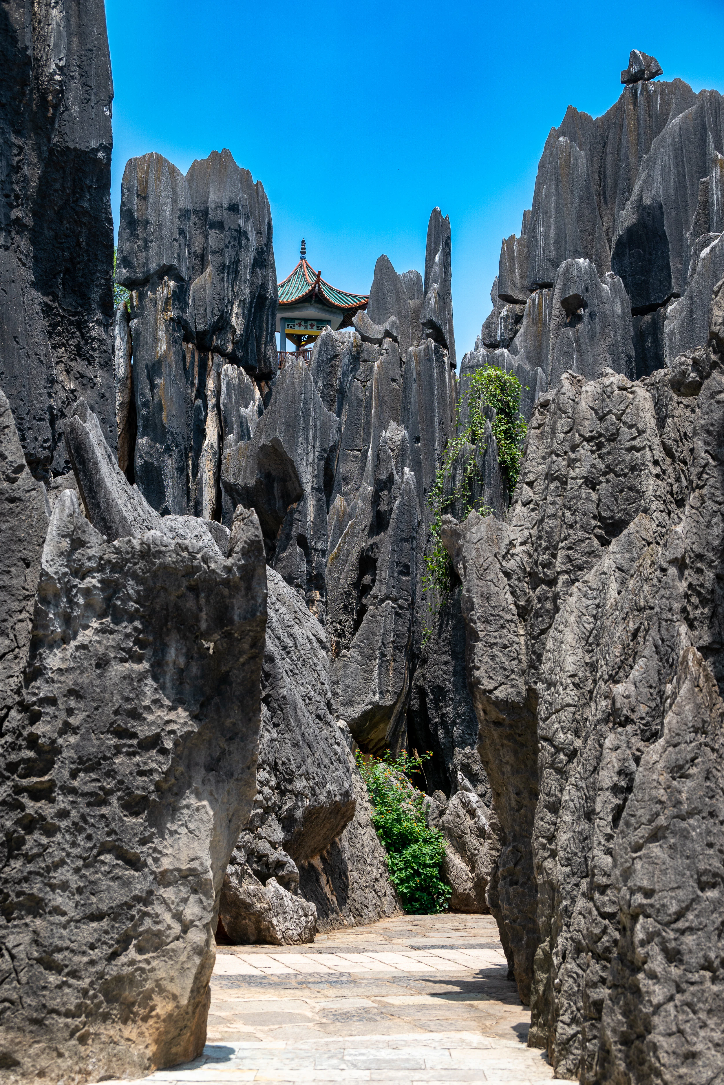Vista en ángulo bajo de un sendero de piedra pavimentado que serpentea entre altas y escarpadas formaciones rocosas de piedra caliza gris bajo un cielo azul despejado, con un pabellón tradicional chino visible al fondo.