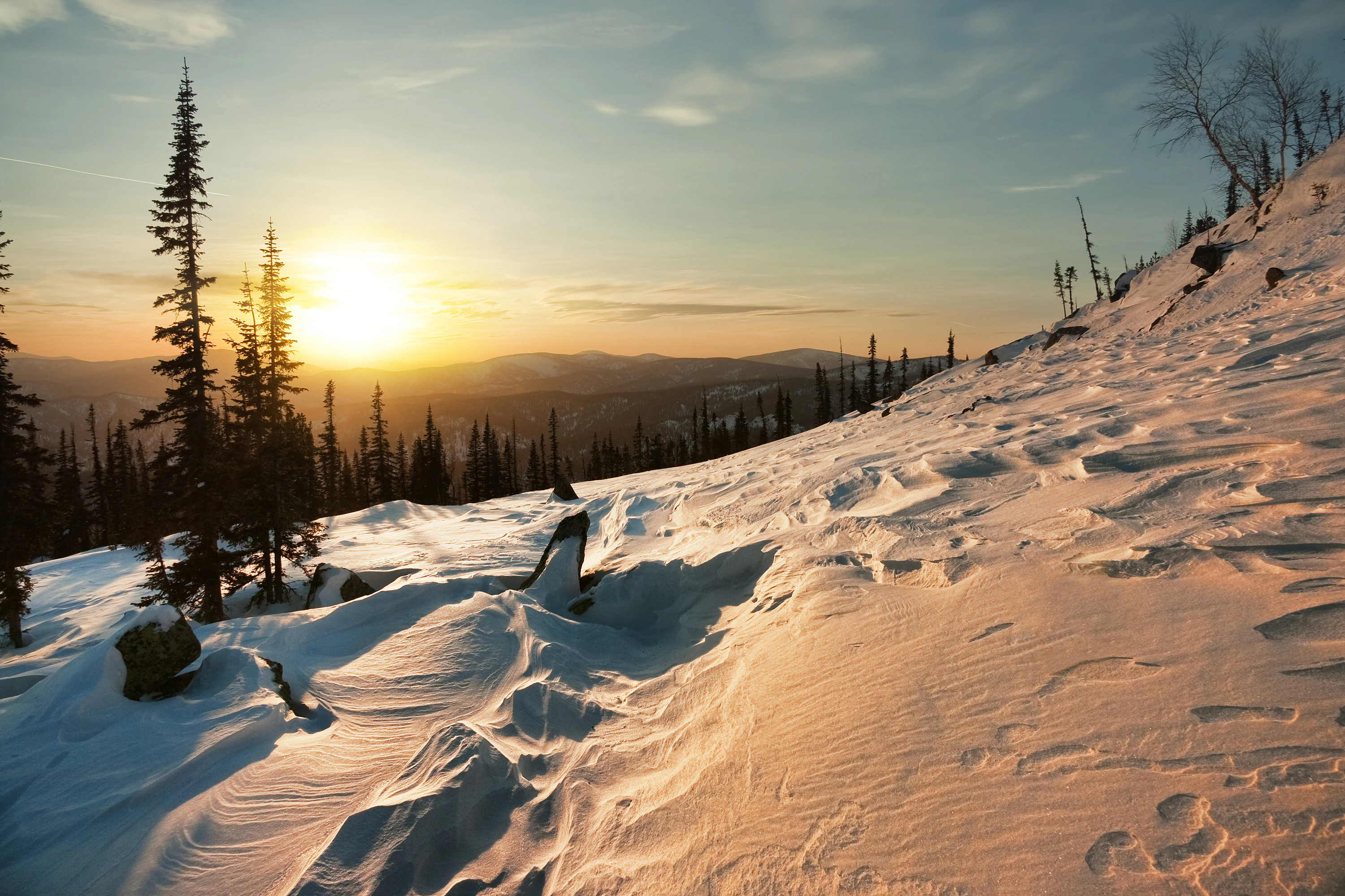 Snow-covered mountain slope at sunset with pine trees and distant mountains