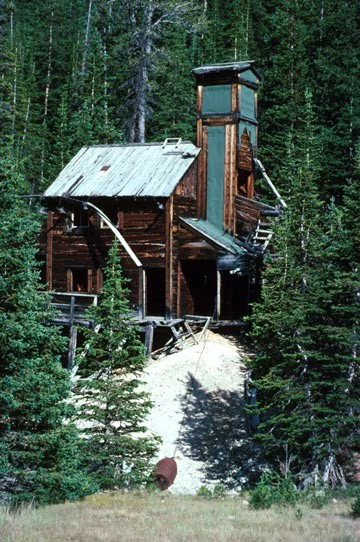 A weathered, dark wooden historic mining structure nestled in a dense evergreen forest, situated above a patch of light-colored rocky tailings.