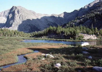 A wide shot of a high alpine meadow with a winding stream leading into a small lake, framed by rocky mountains and conifer trees.