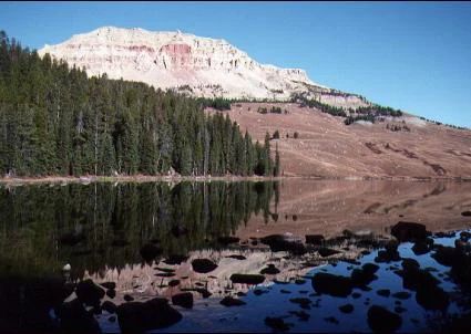 A wide view of a calm lake mirroring a rocky mountain peak and dense evergreen forest under a clear blue sky.