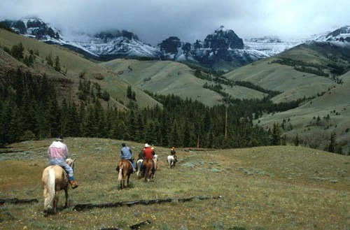 A group of people riding horses across a grassy, open landscape with a forest and snow-dusted, jagged mountain peaks in the background.
