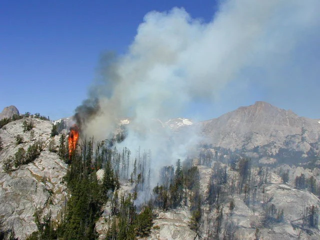 A forest fire burning in a mountainous area with flames visible among scattered trees and rocky slopes, with a plume of white smoke rising into a clear blue sky.