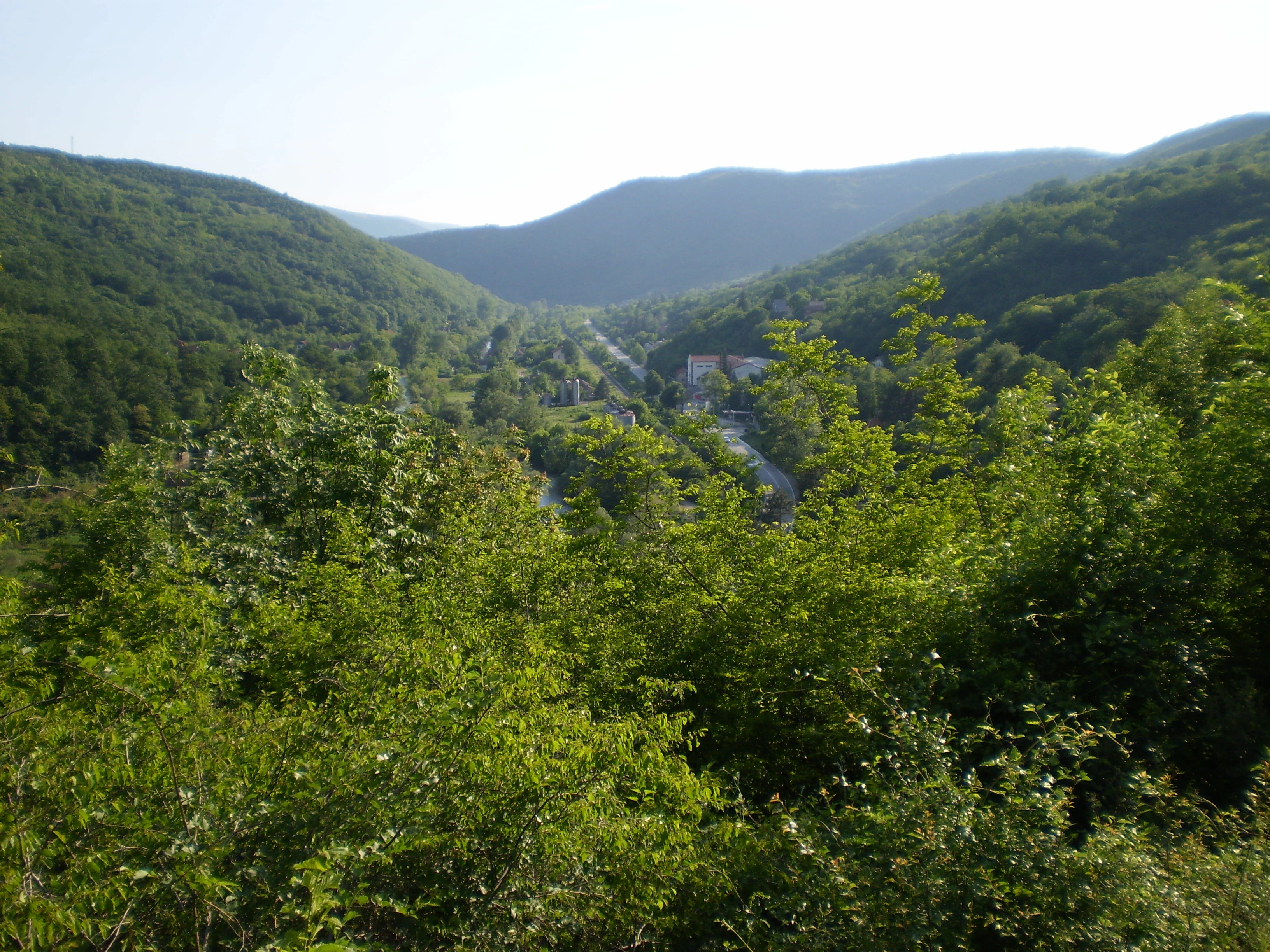 Wide view of Sićevo Gorge with lush green vegetation in the foreground, a river in the midground, and forested hills under a clear sky