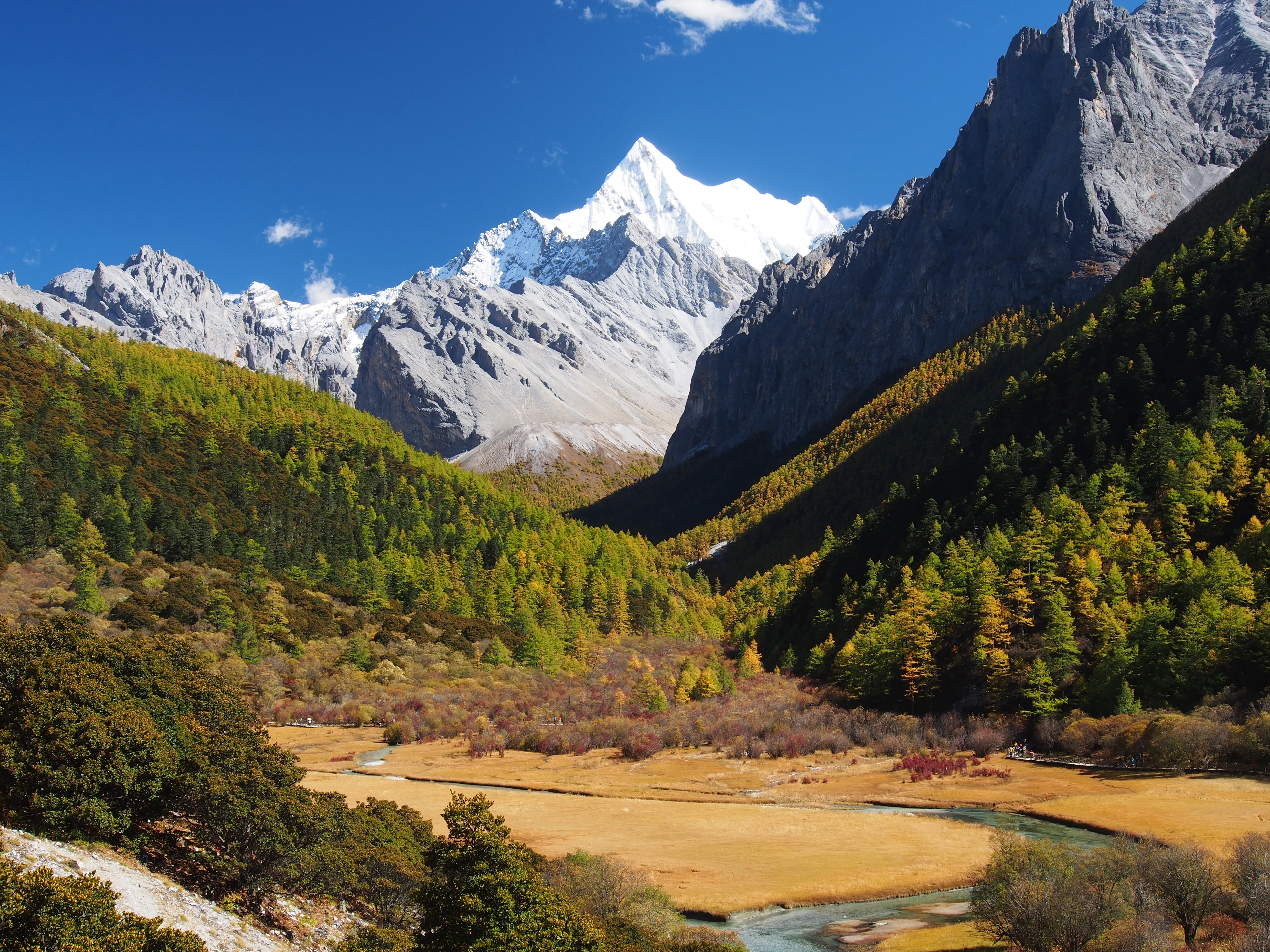 A towering, sharp, snow-covered mountain peak rises above a valley floor covered in golden-brown grasses and surrounded by coniferous forests during autumn.