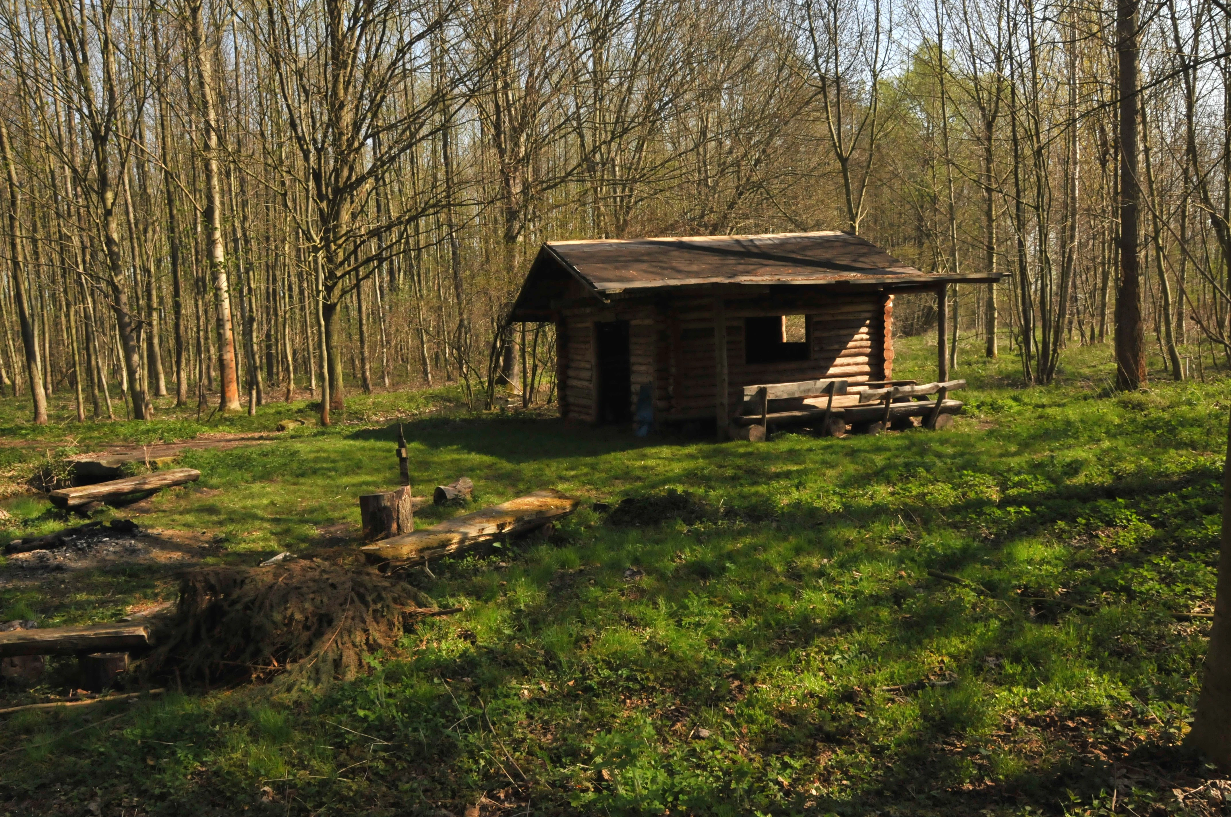 A small wooden log cabin stands in a clearing surrounded by deciduous trees, featuring an attached bench seating area and a fire pit in the foreground.