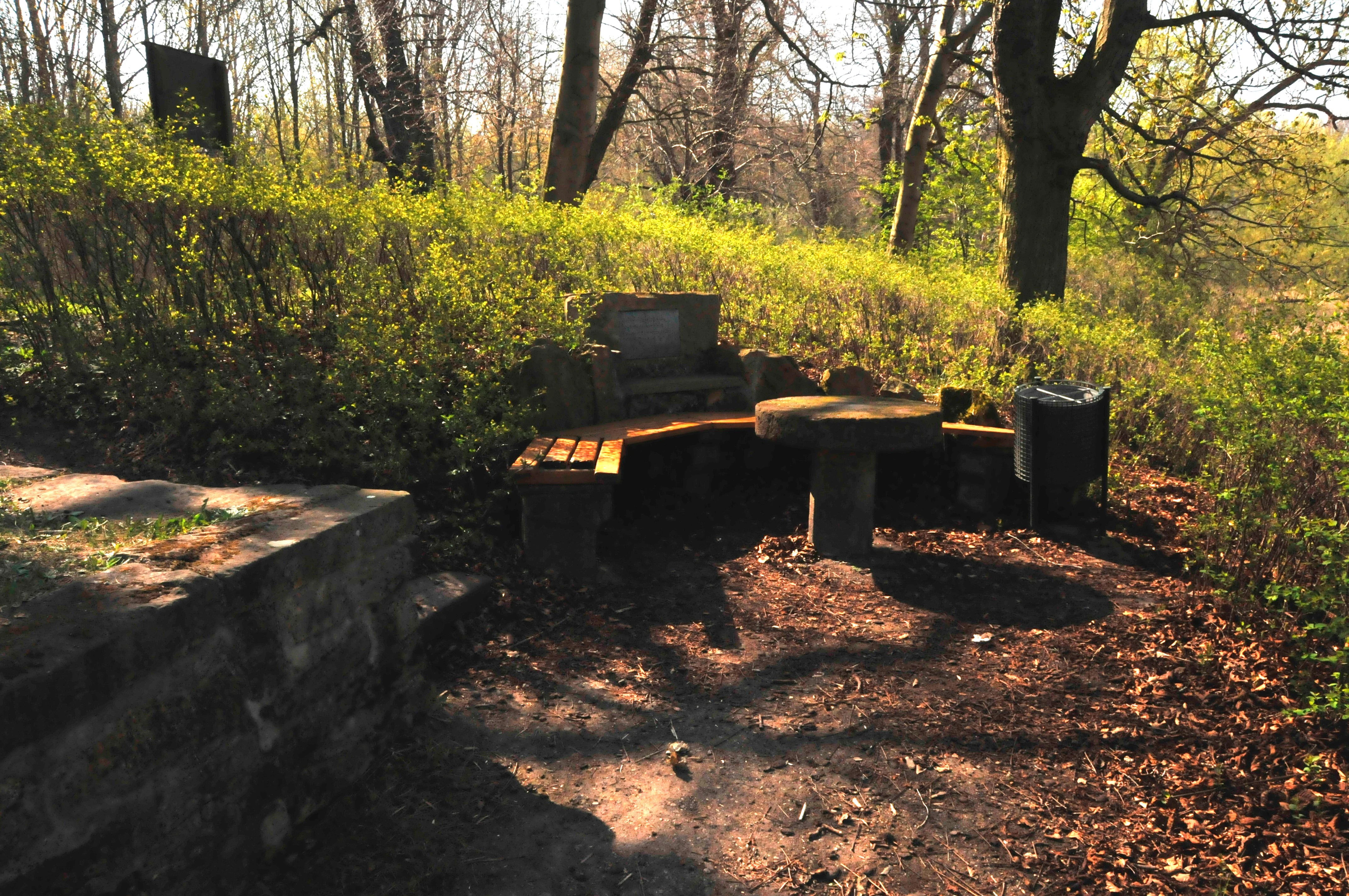 A semicircular stone bench with a central table sits in a shaded, woodland clearing at Siebleber Teich.
