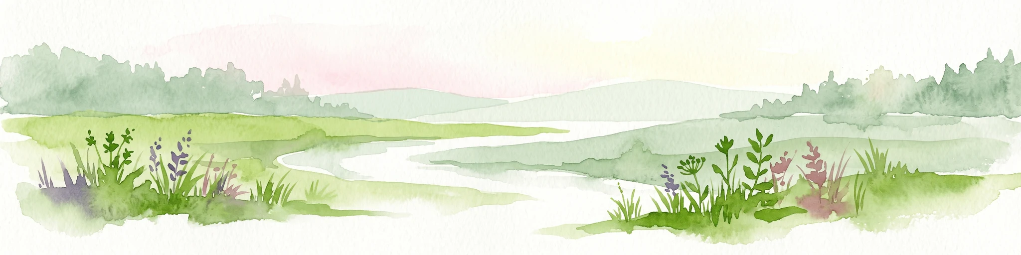 A horizontal watercolor painting showing a green marshy landscape with a small winding stream, wildflowers in the foreground, and soft rolling hills in the background.