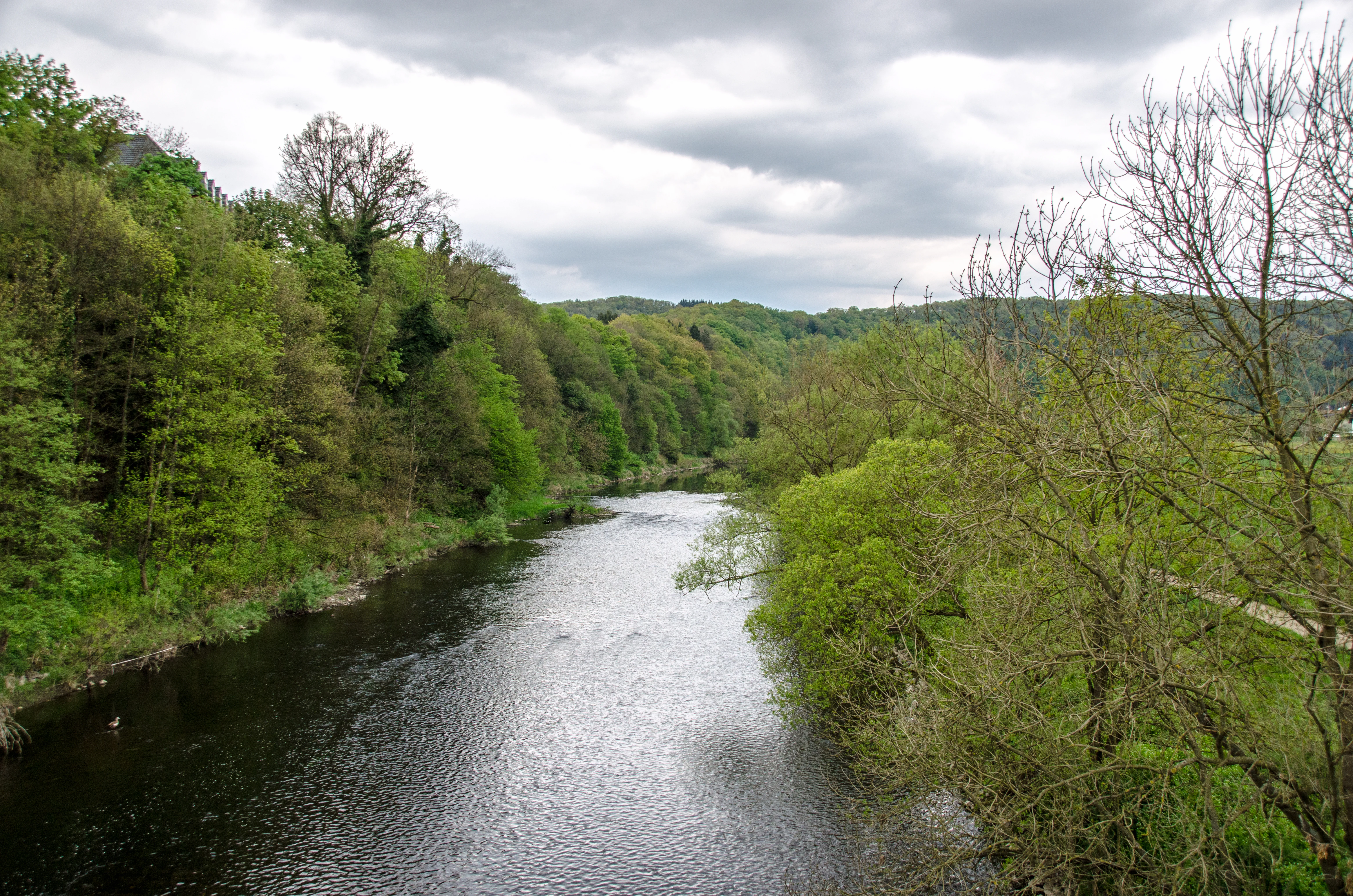 A wide view of the Sieg river flowing through a forested valley under a cloudy sky.