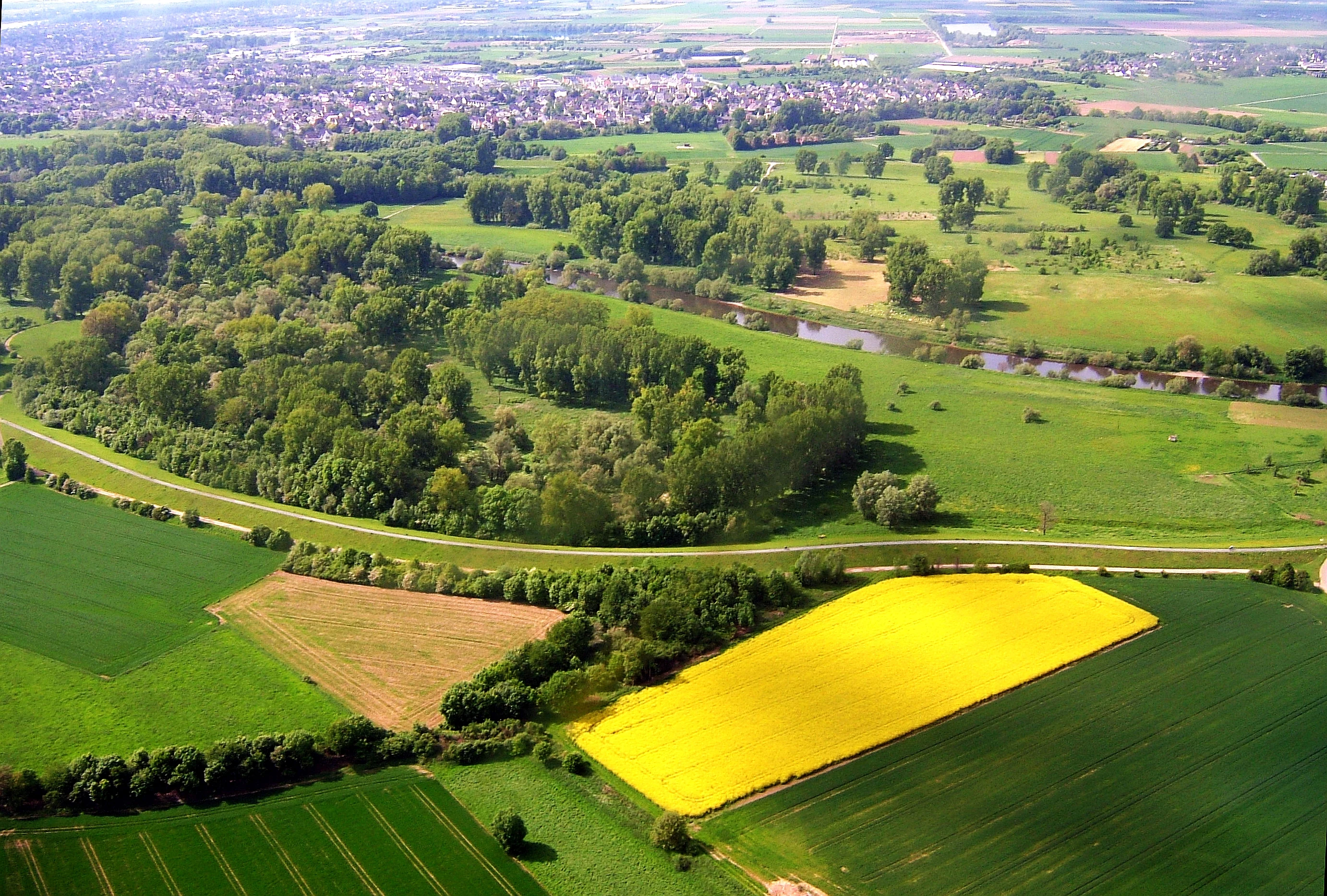 Aerial perspective of a green river valley and floodplain with a winding river, forested areas, and a distinct bright yellow field in the foreground, bordered by a levee.