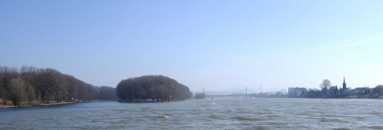 A wide view of a river meeting another river under a clear blue sky, with a dense forest island in the center and urban buildings on the far right bank.