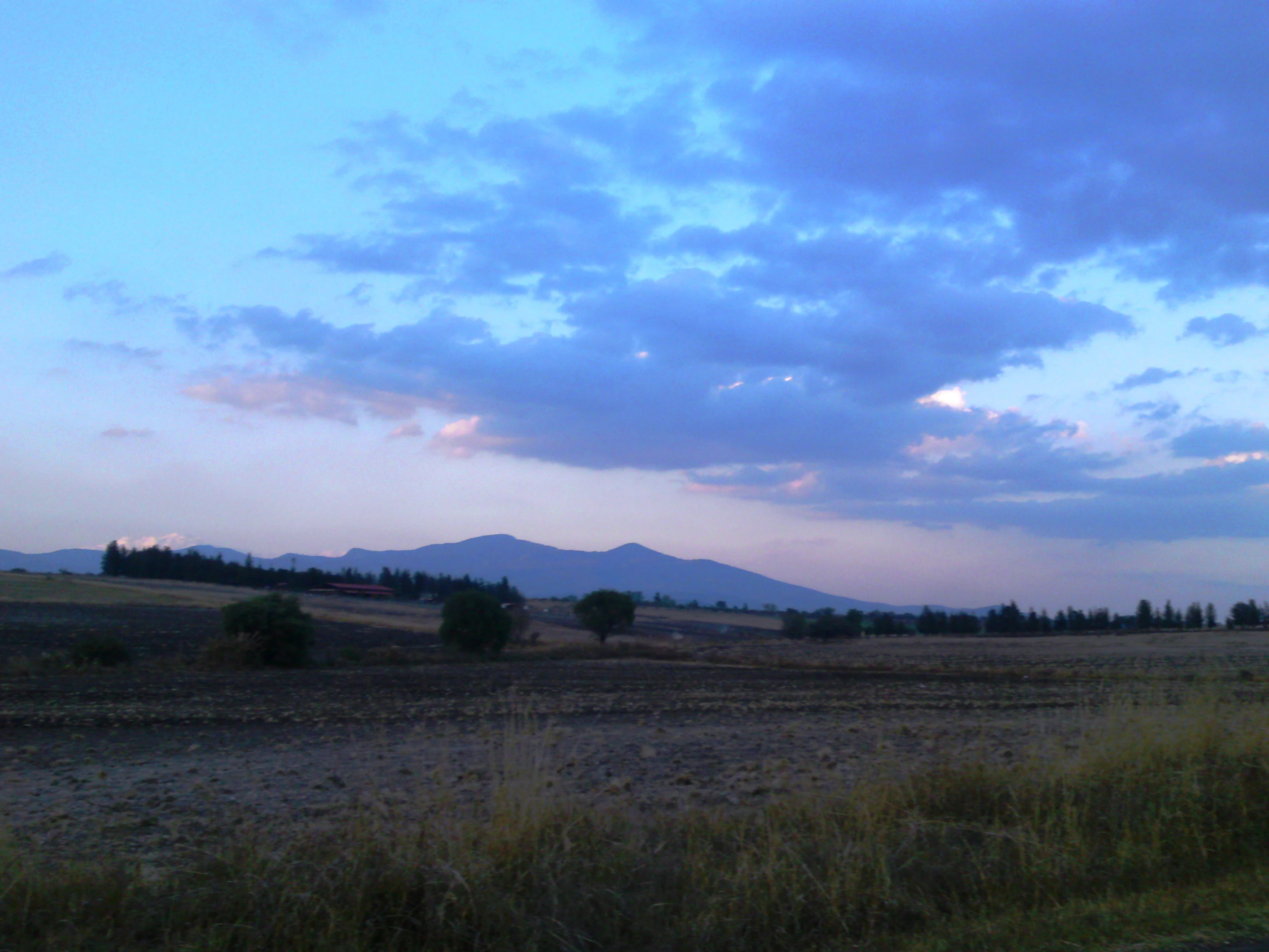 Vista panorámica que muestra campos llanos con árboles dispersos en primer plano y una cordillera silueteada contra un cielo nublado azul y rosado al atardecer