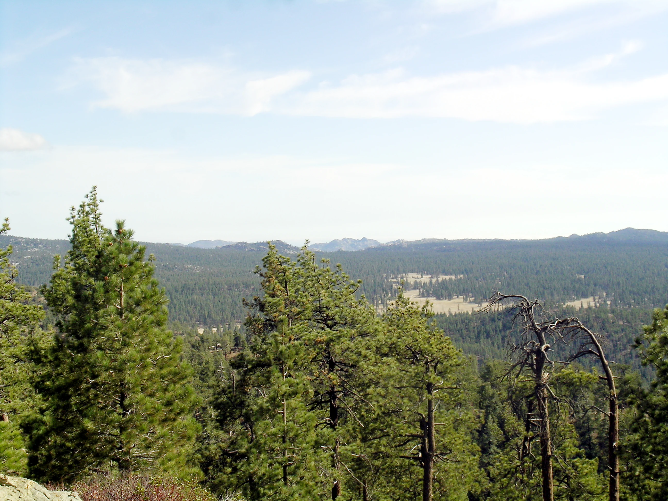 Panoramic landscape of mountainous terrain with dense pine forests under a partly cloudy sky