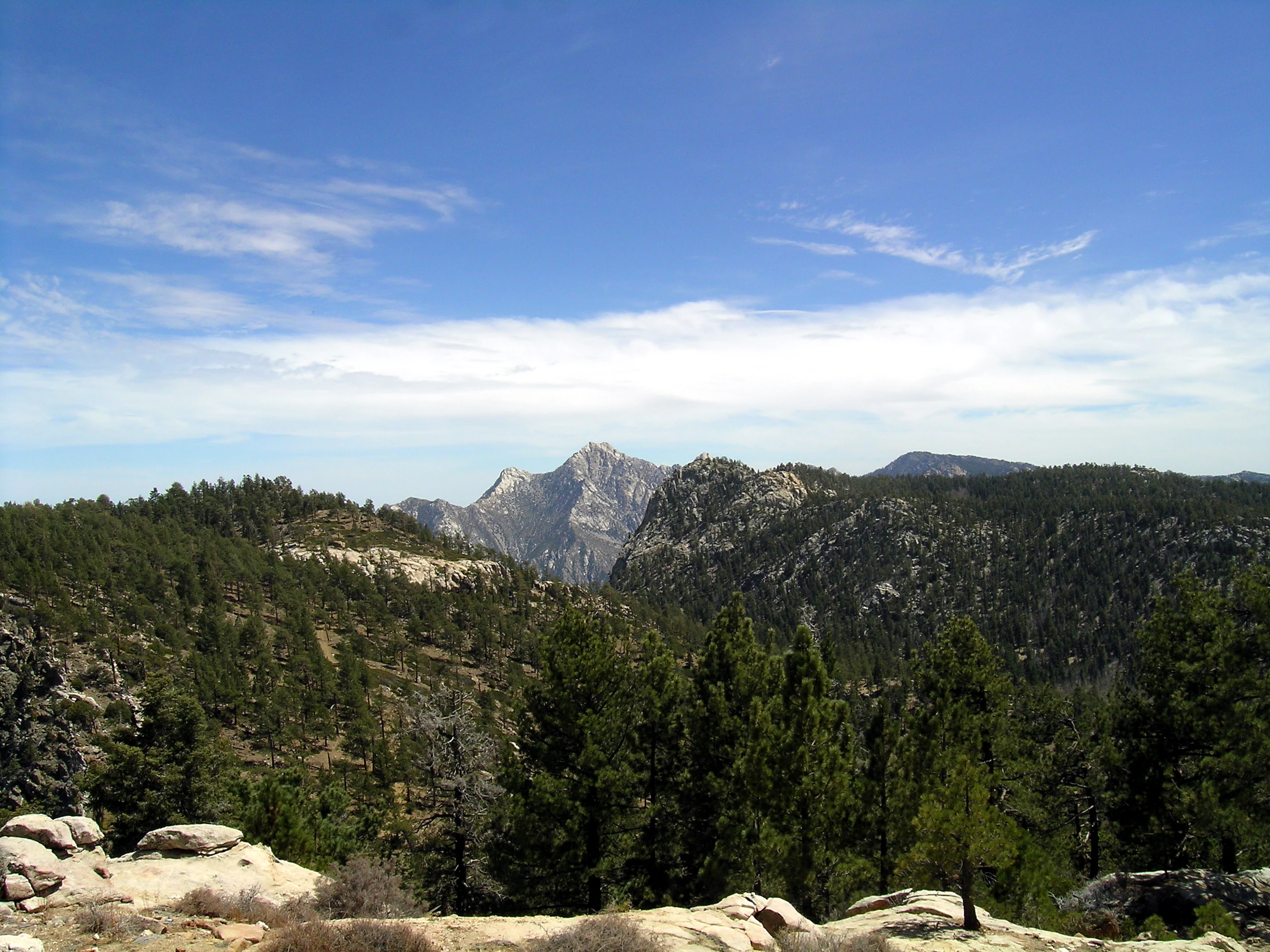 Mountainous landscape with rocky peaks, pine trees, and a clear blue sky featuring scattered clouds.