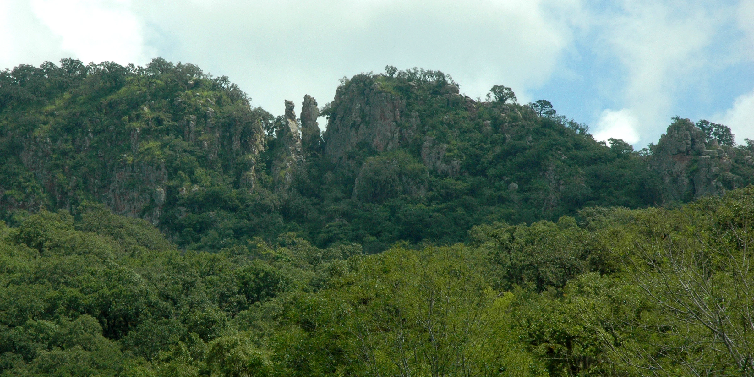 Wide landscape view of karstic rock formations emerging from a dense green forest under a partly cloudy sky.