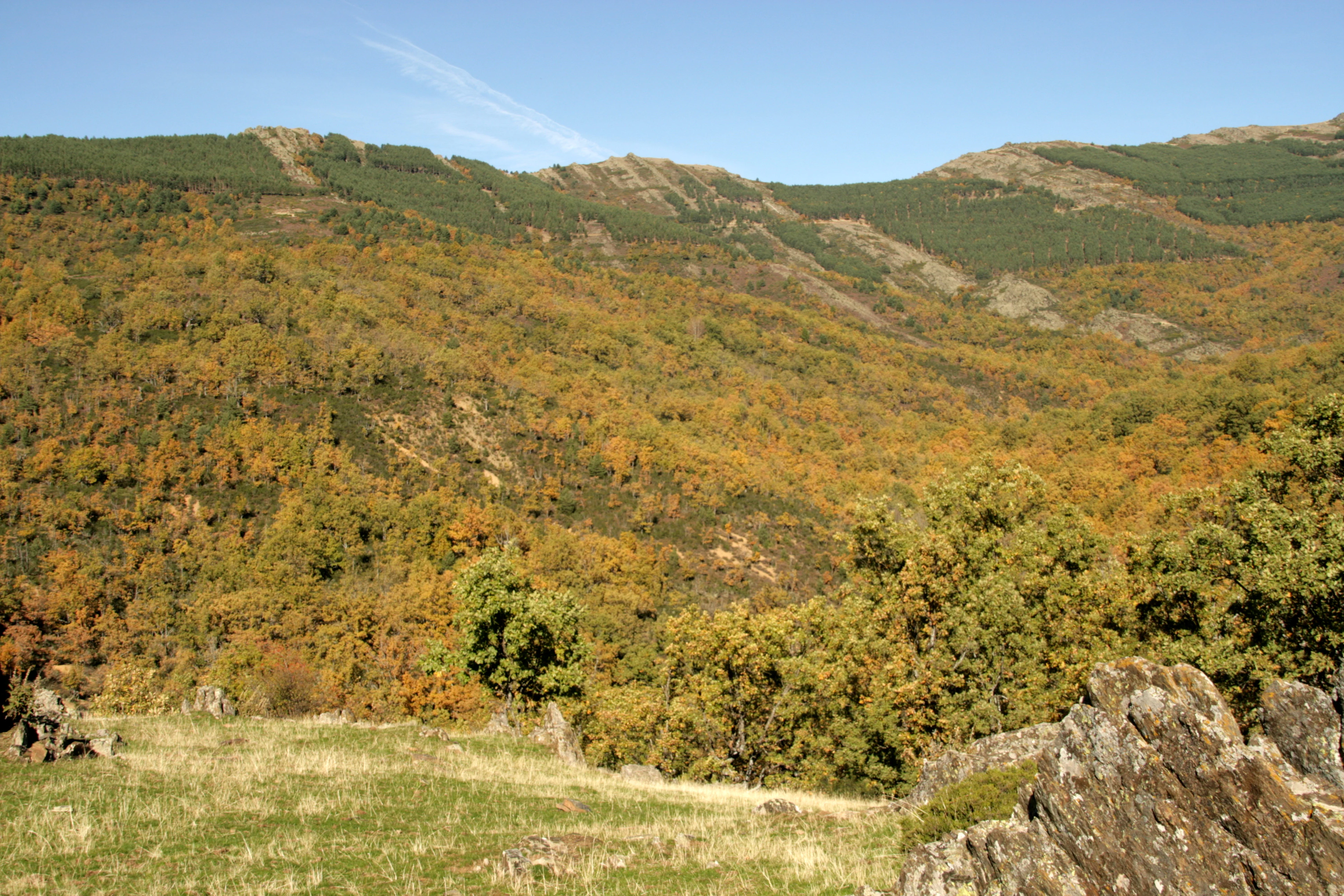 A wide mountain landscape in autumn with forested slopes displaying yellow and orange fall colors and a rocky foreground.