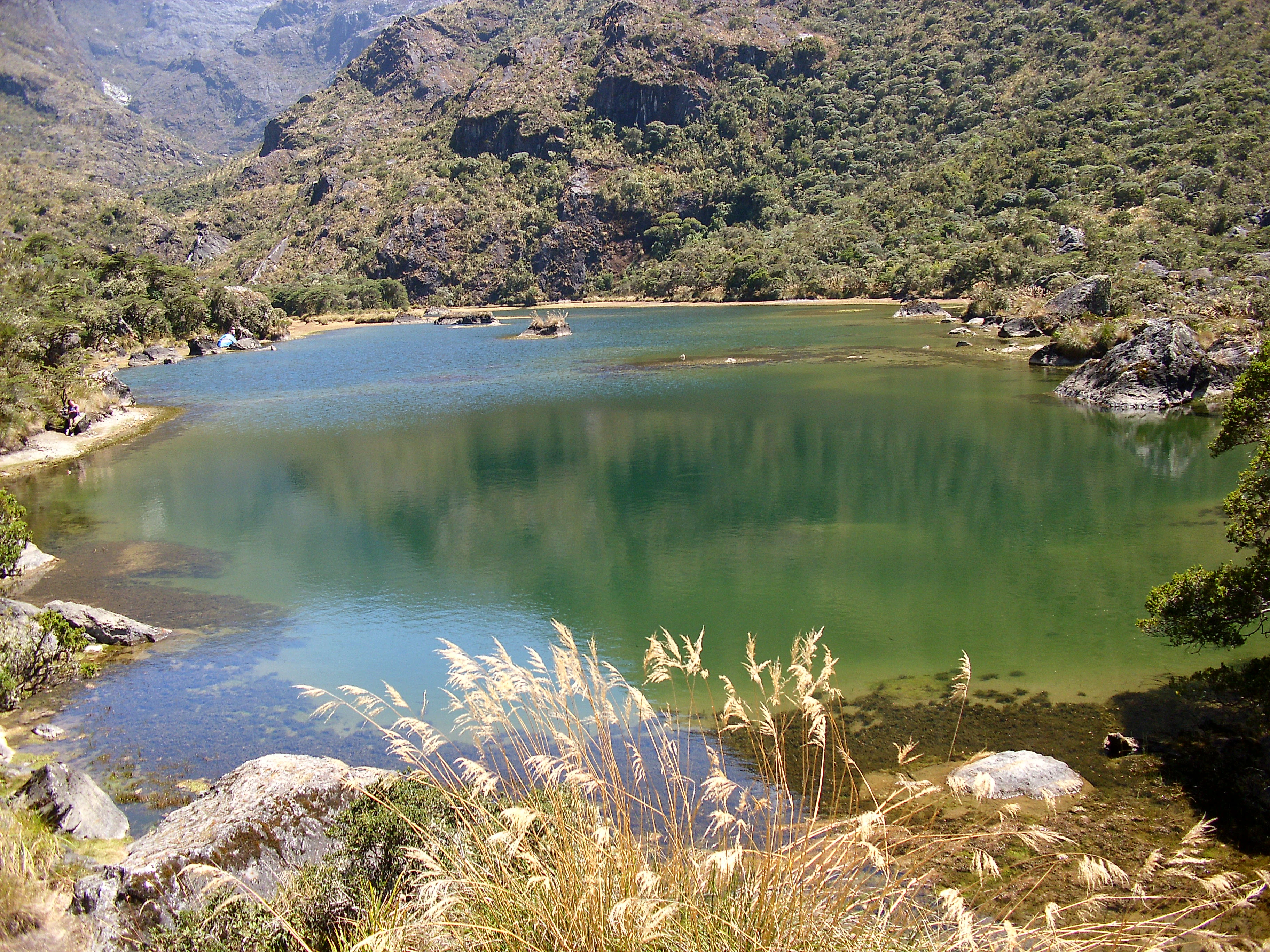 Lago de color azul verdoso transparente rodeado de montañas rocosas y hierbas altas, con colinas boscosas al fondo.