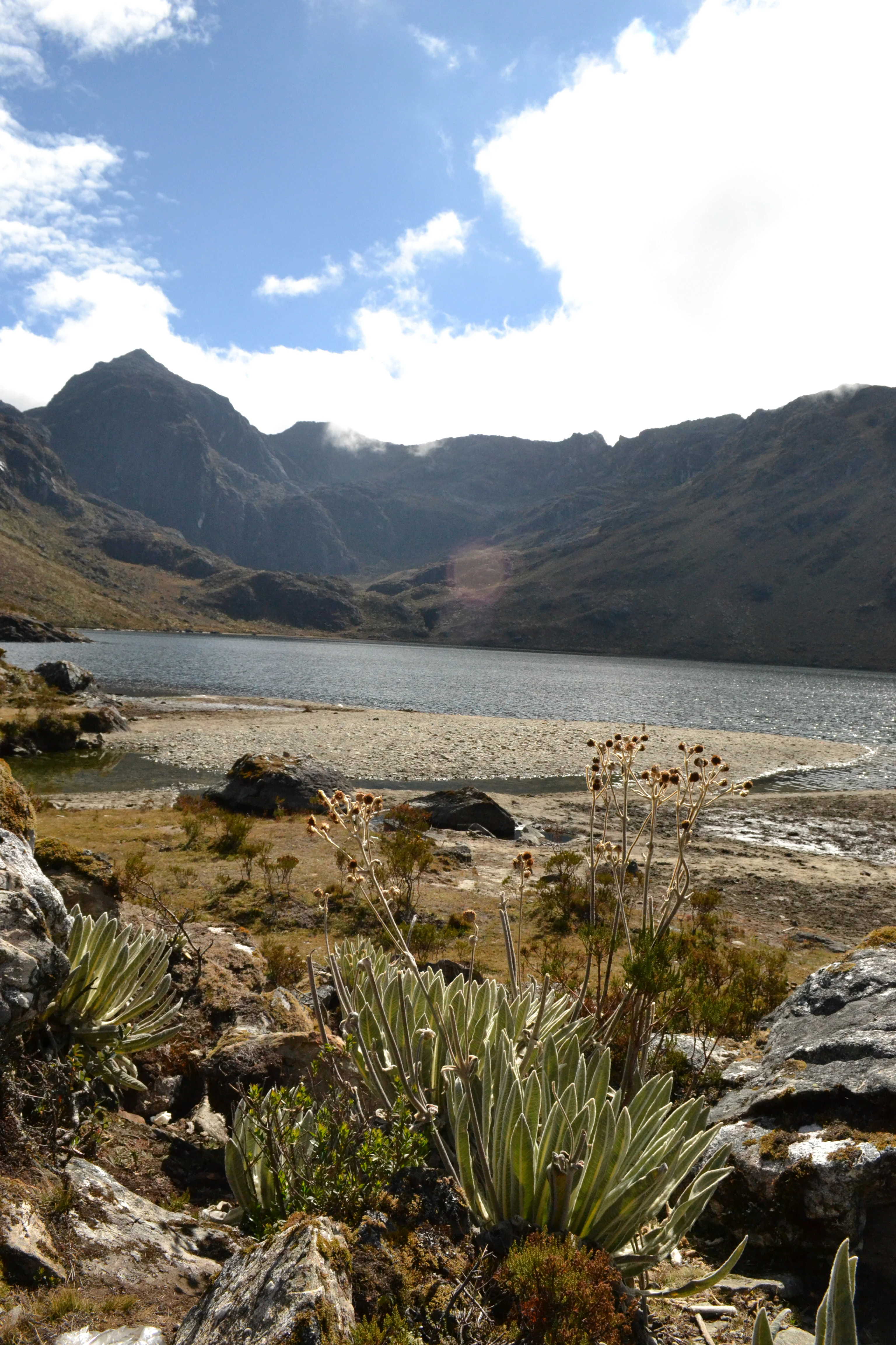 Lago de montaña rodeado de terreno rocoso y picos altos bajo un cielo parcialmente nublado