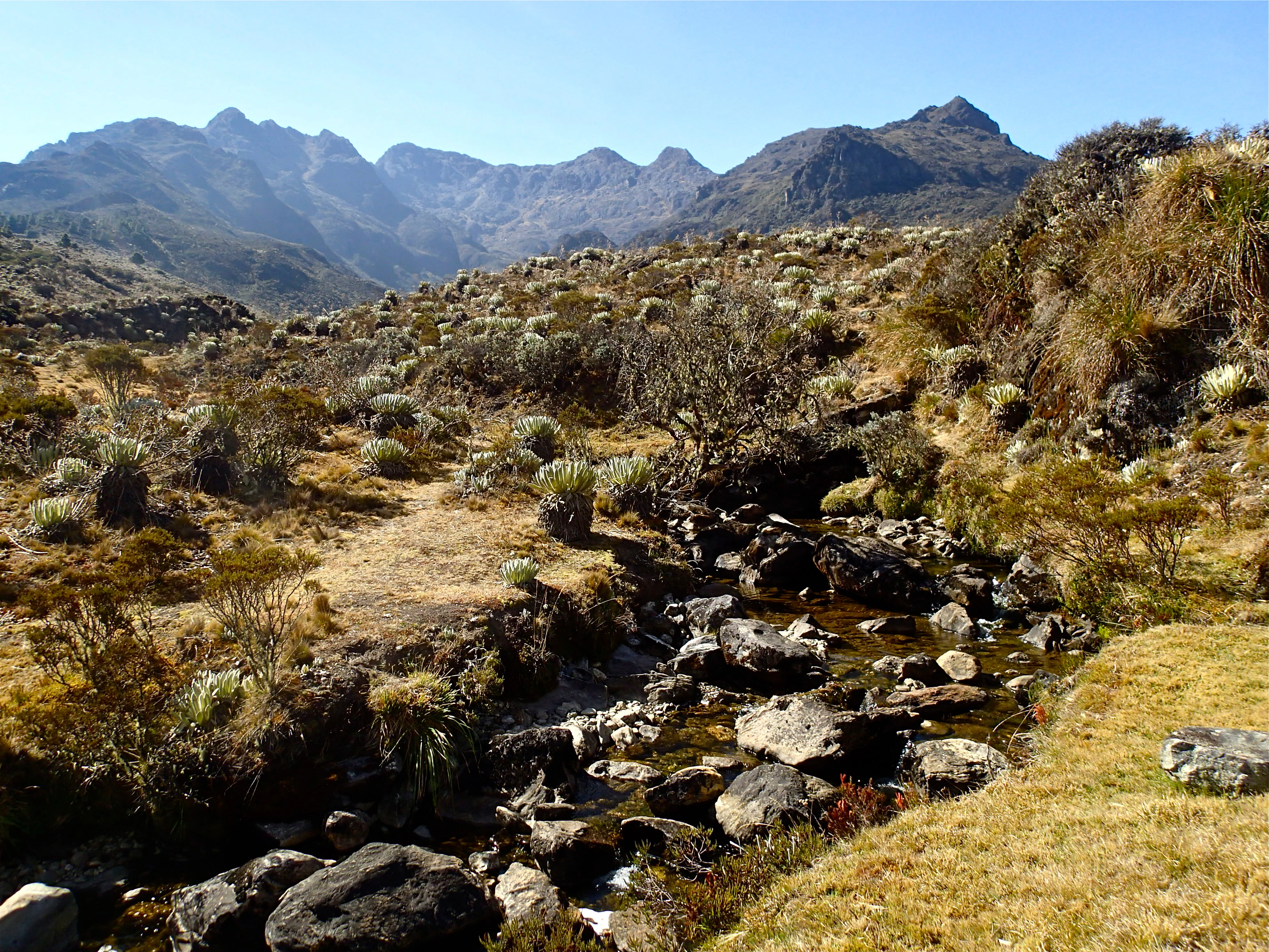 Un arroyo rocoso fluye a través de un valle con vegetación escasa, rodeado de montañas escarpadas bajo un cielo azul claro.