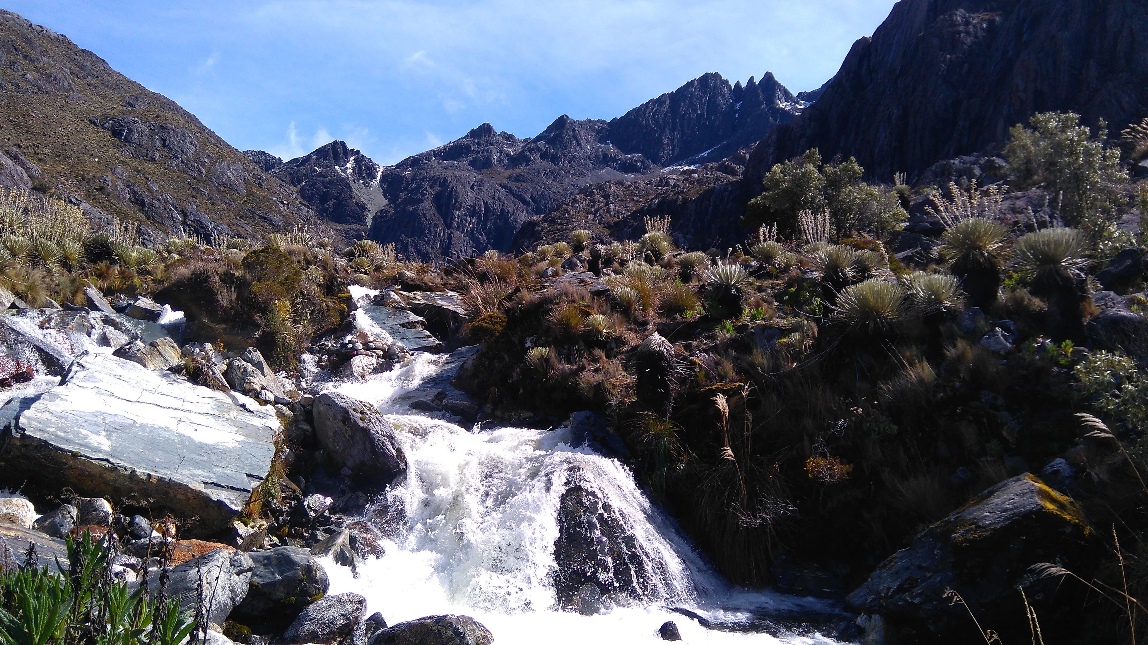 Cascada cayendo sobre rocas con picos montañosos y vegetación al fondo