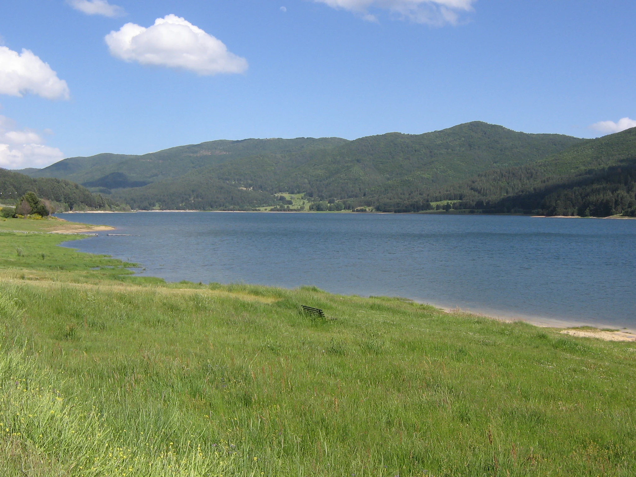 A large lake bordered by grassy shore and forested mountains under a clear blue sky with scattered clouds