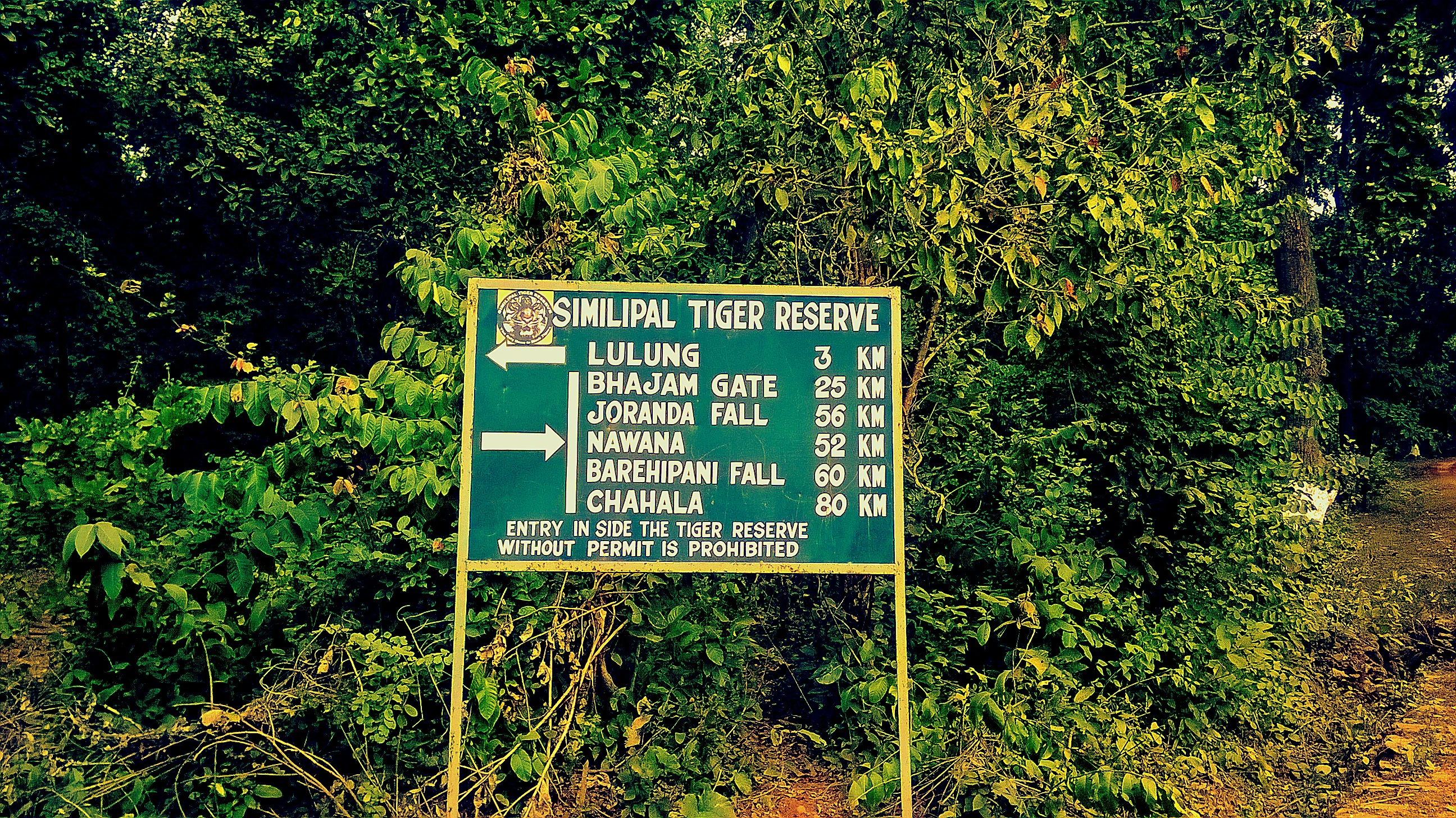 Green directional signboard for Simlipal Tiger Reserve with distances to park locations, surrounded by dense forest vegetation