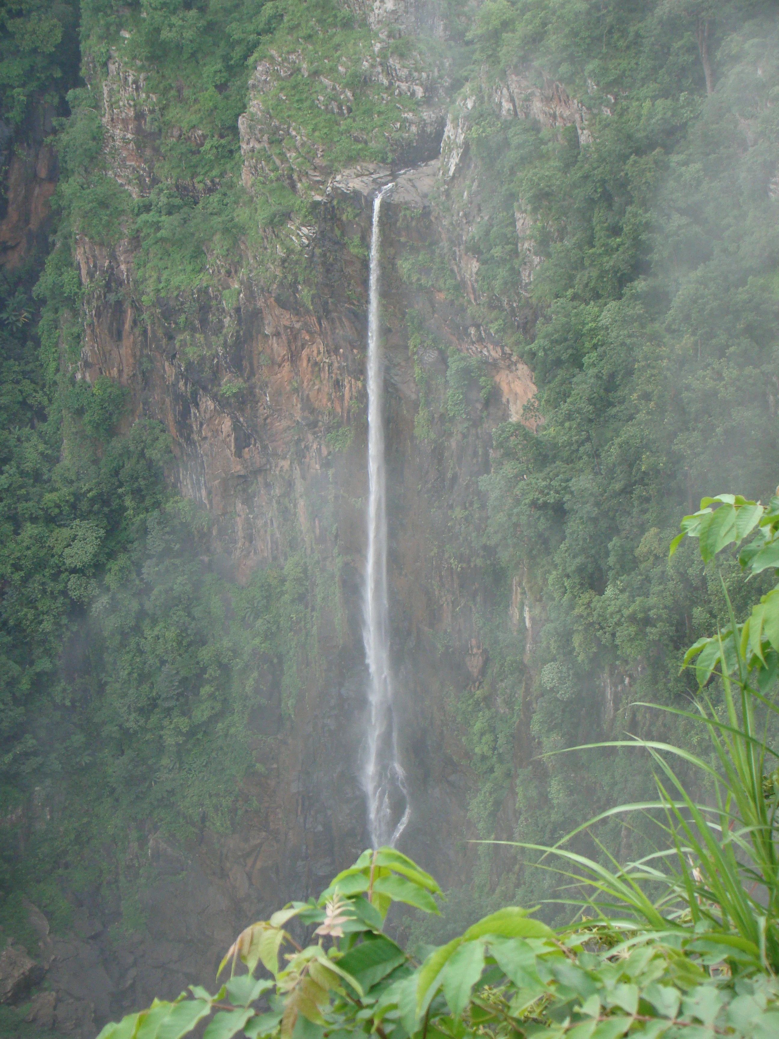A tall waterfall cascading down a rocky cliff face surrounded by dense green vegetation