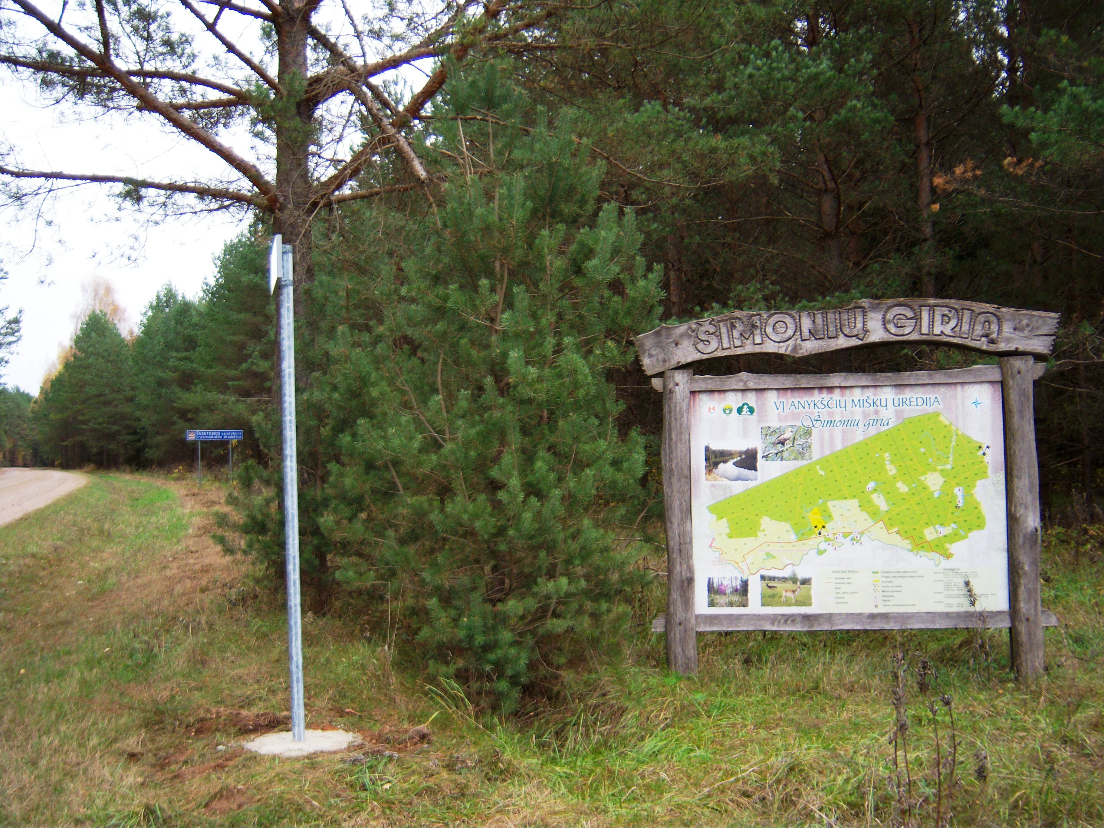 A wooden informational sign displaying a map of the Šimonių giria forest, situated at the edge of a road in a pine forest setting.
