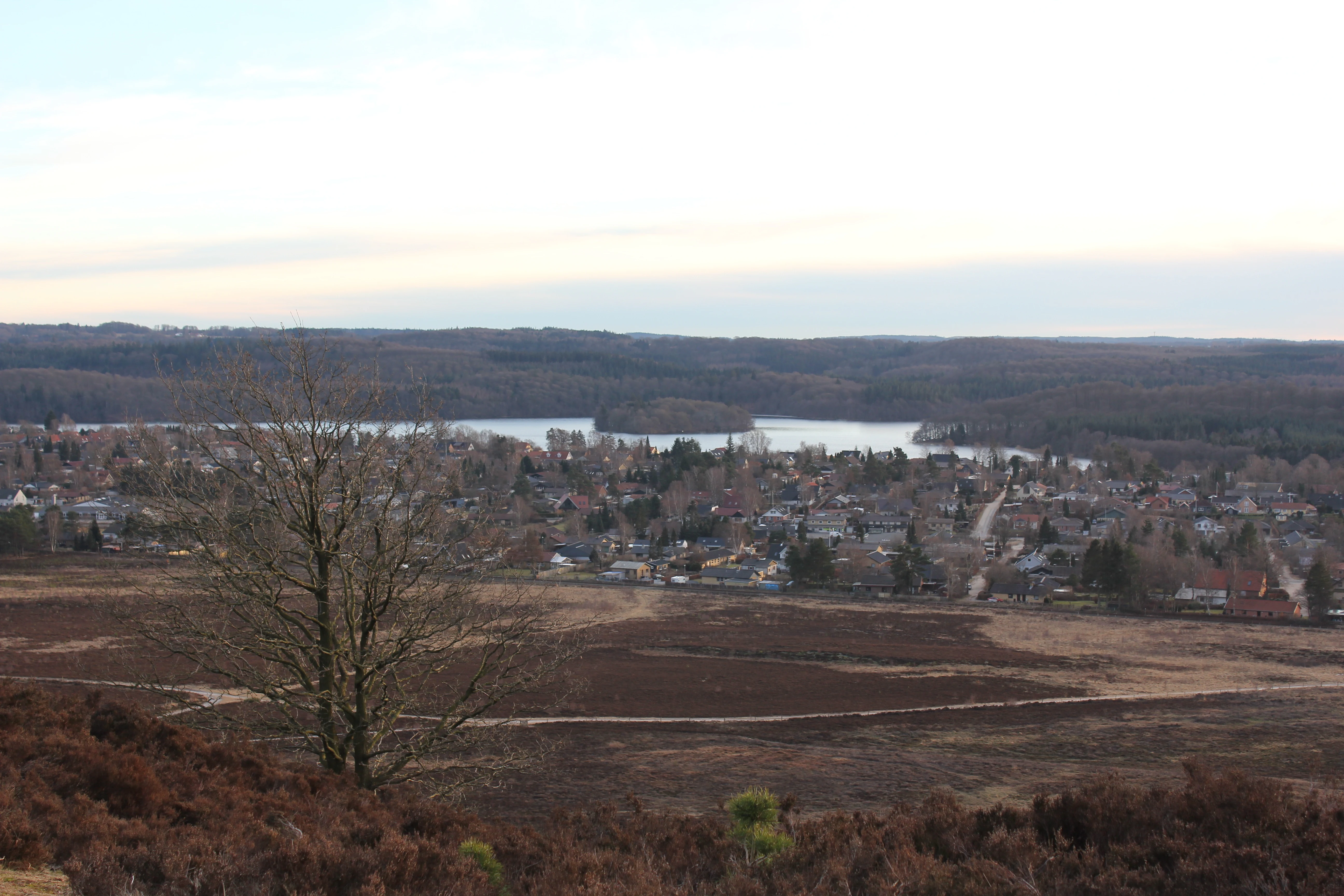 Wide angle view from a elevated heather-covered hill looking down over a town nestled beside a lake, with rolling wooded hills in the distance.