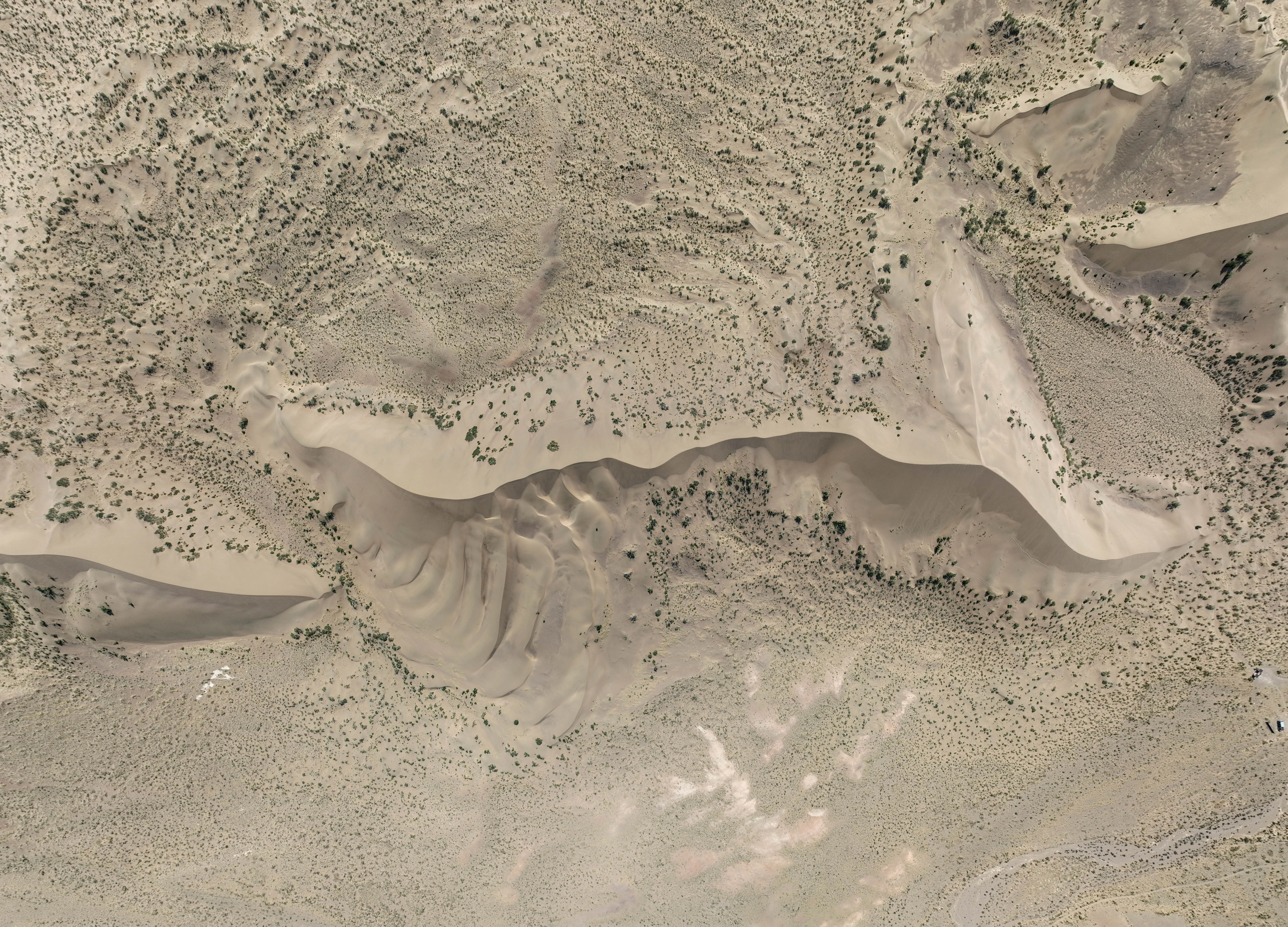 Una vista aérea cenital de una gran duna de arena pálida en un paisaje desértico seco y texturizado con vegetación escasa.