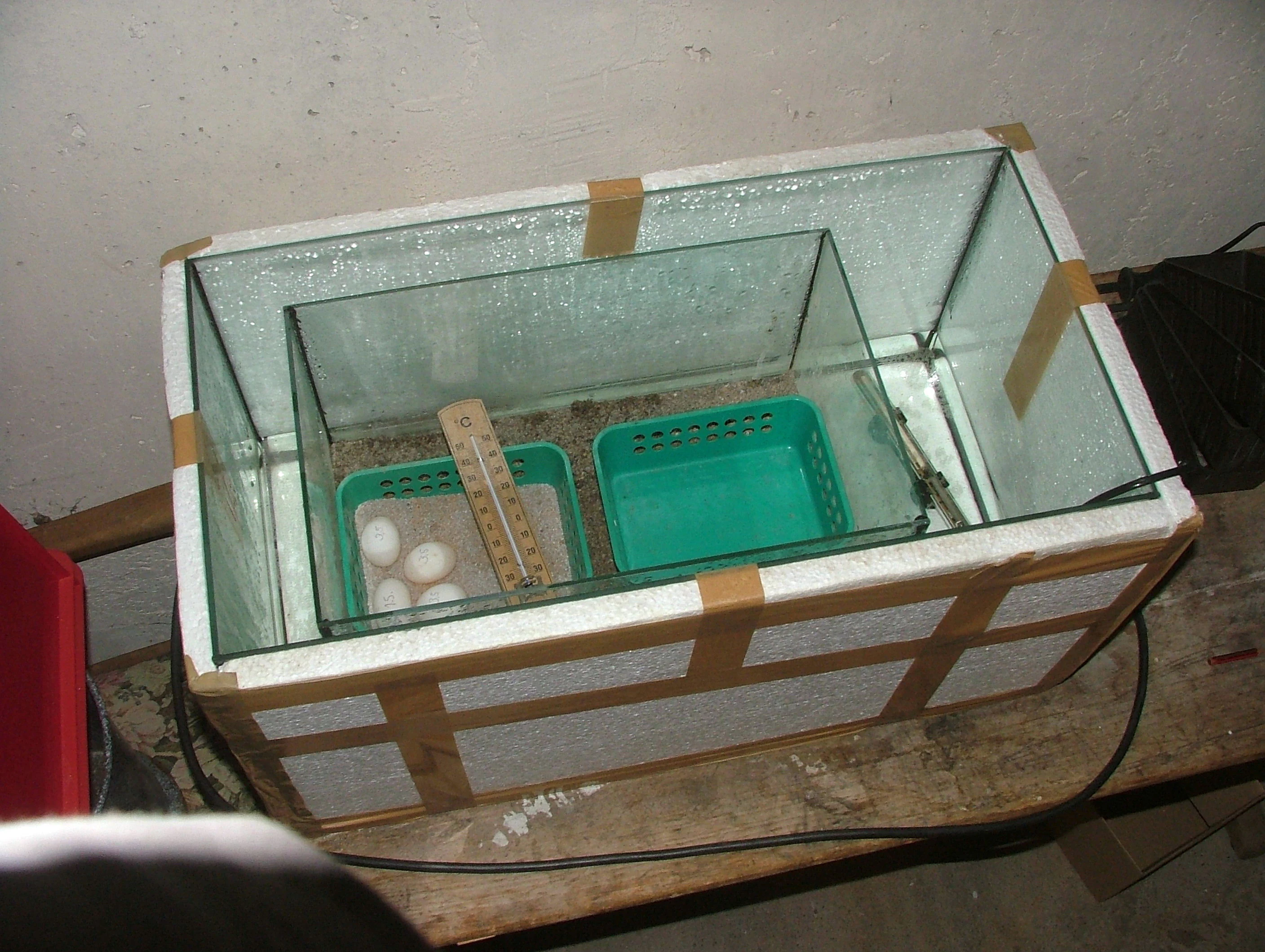 A rectangular glass enclosure containing two small green baskets, one holding several white rounded eggs and a thermometer, resting on a wooden surface.