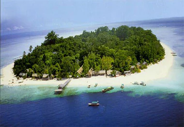 Aerial view of a small, lush green tropical island surrounded by a white sand beach and turquoise and deep blue ocean waters with several boats docked at a pier.
