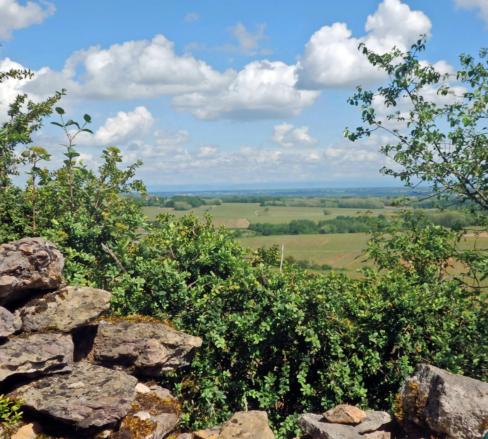 A landscape view from a rocky outcrop with green bushes in the foreground, looking out over a valley of fields and vineyards under a blue sky with white clouds.
