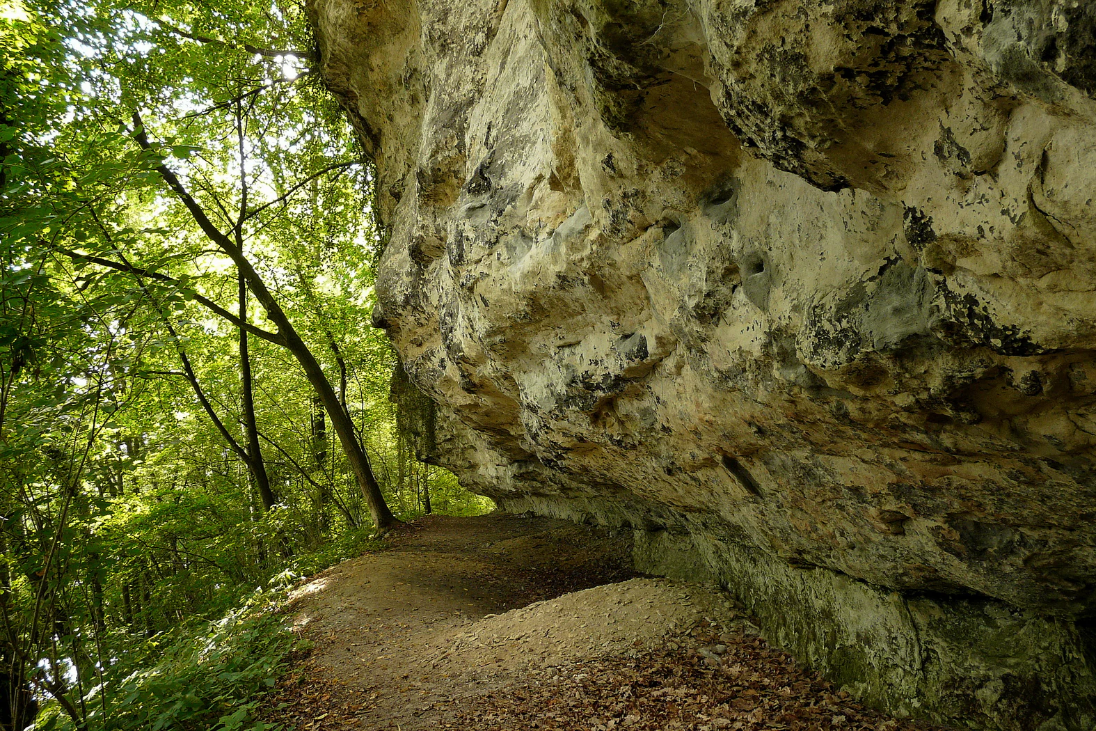 A dirt hiking path runs alongside the base of a tall, light-colored, craggy sandstone cliff, with dense green forest trees growing on the left side of the frame.