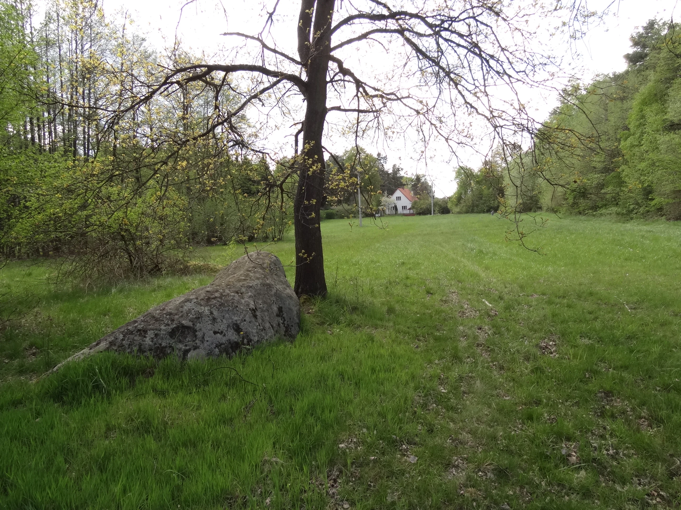 A wide, slightly overcast shot of a grassy meadow with a prominent dark-barked tree in the foreground and a large boulder resting near its base; a small house is visible in the distant center.