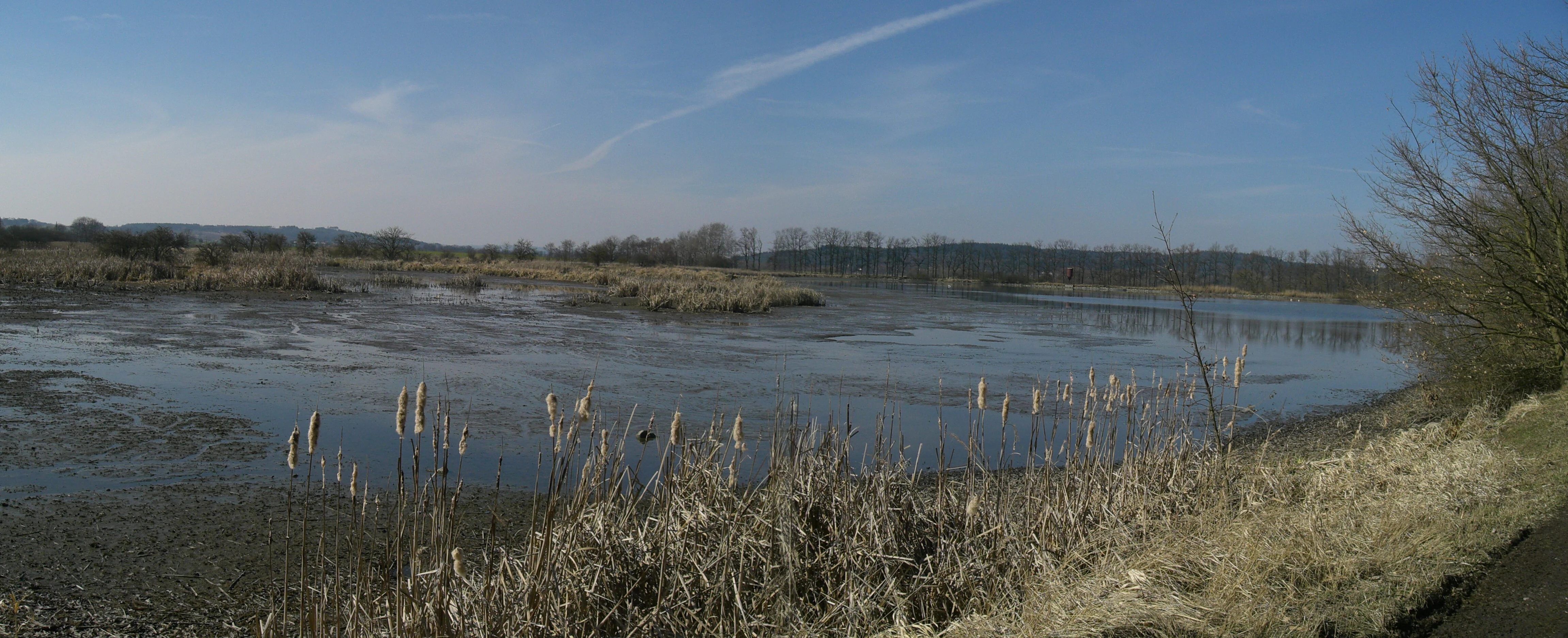 A wide, panoramic photograph of a shallow pond with marshy, reed-filled edges under a clear blue sky, set within a natural monument area.