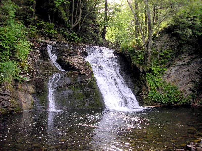 Waterfall with multiple tiers cascading over rocks into a still pool, surrounded by green trees and plants