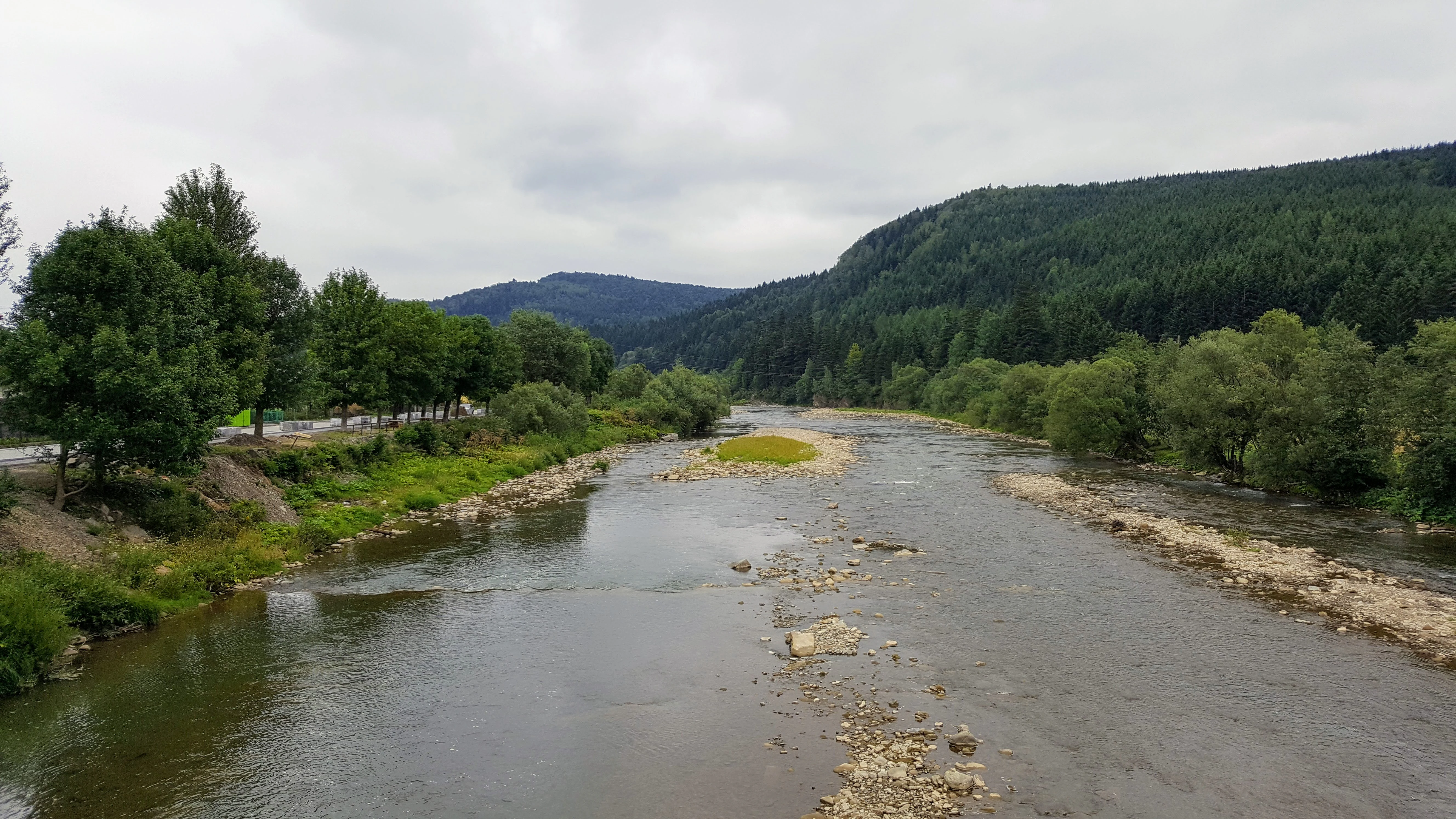A wide river flowing through a forested valley with mountains in the background