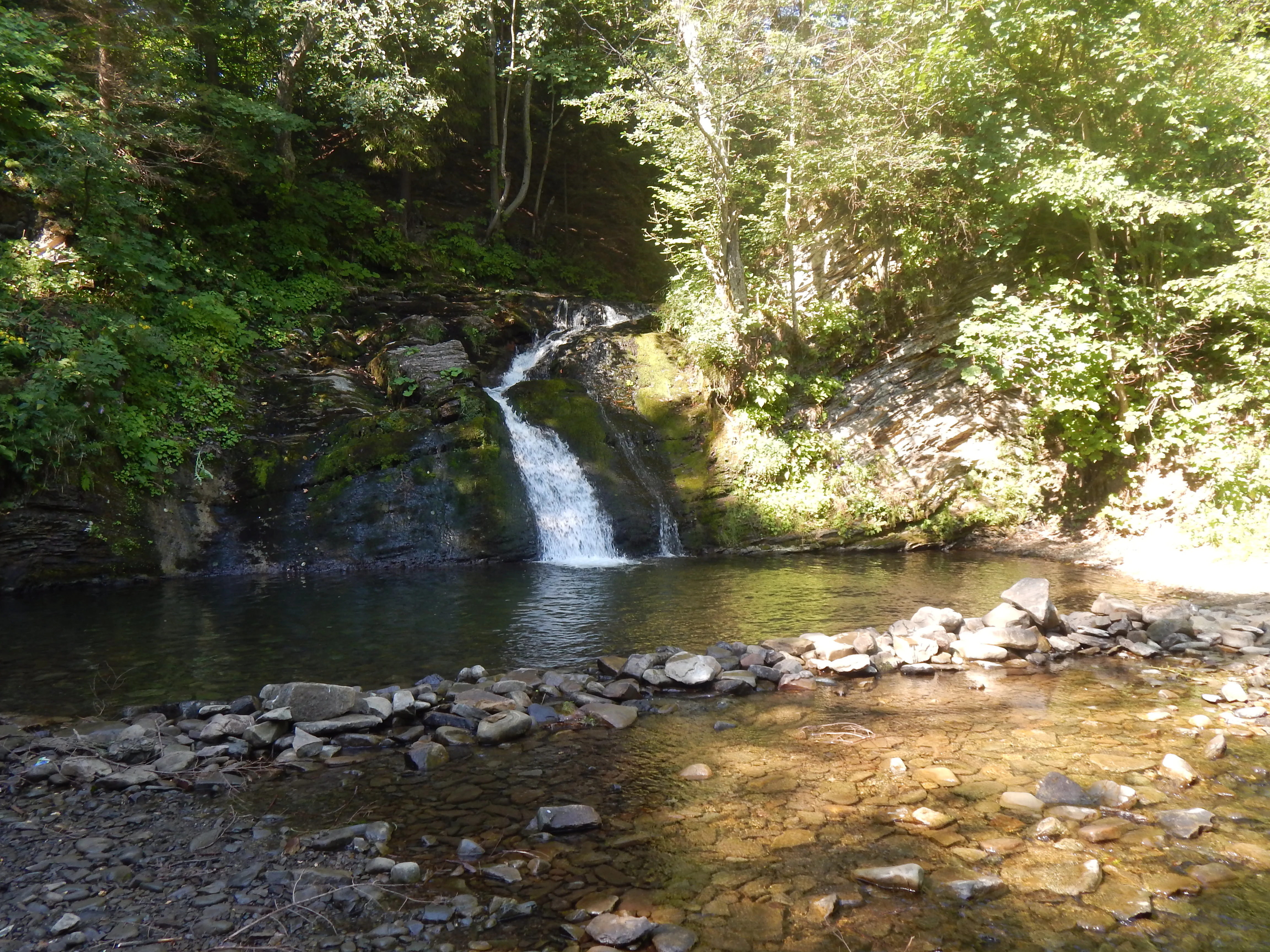 Waterfall flowing into a pool surrounded by rocks and forest vegetation