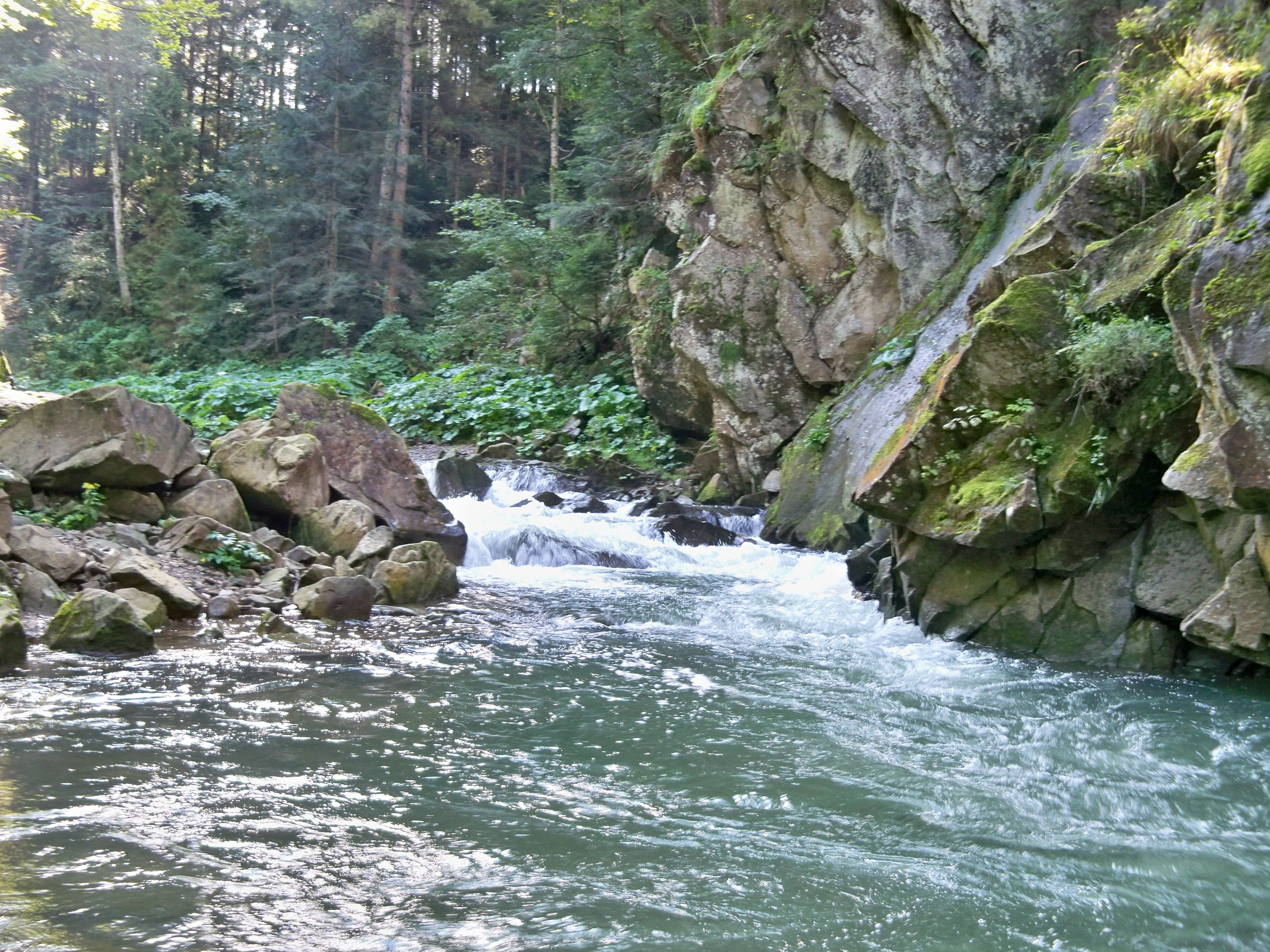 A waterfall flowing over rocks with greenery and forest in the background