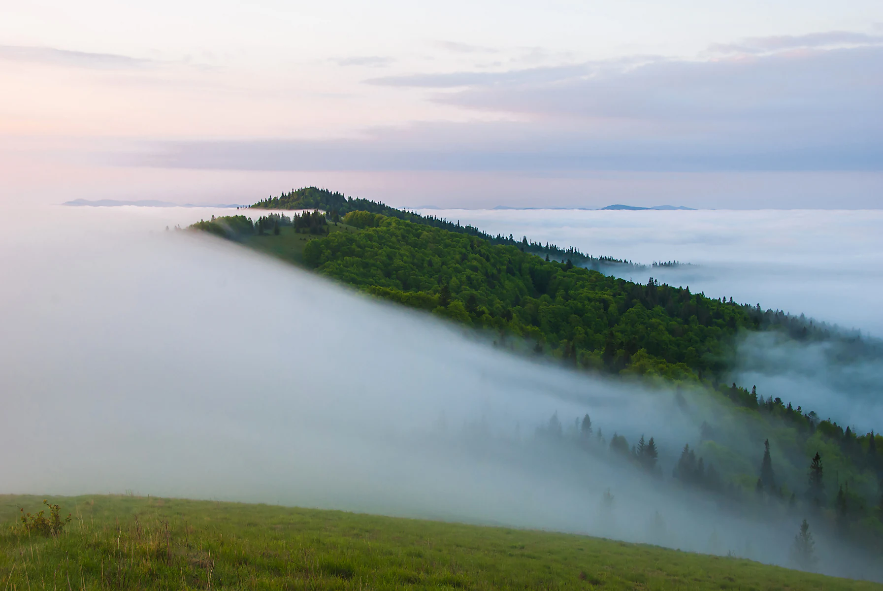 Green forested mountain ridge rising above low-lying fog under a pale sky with soft clouds
