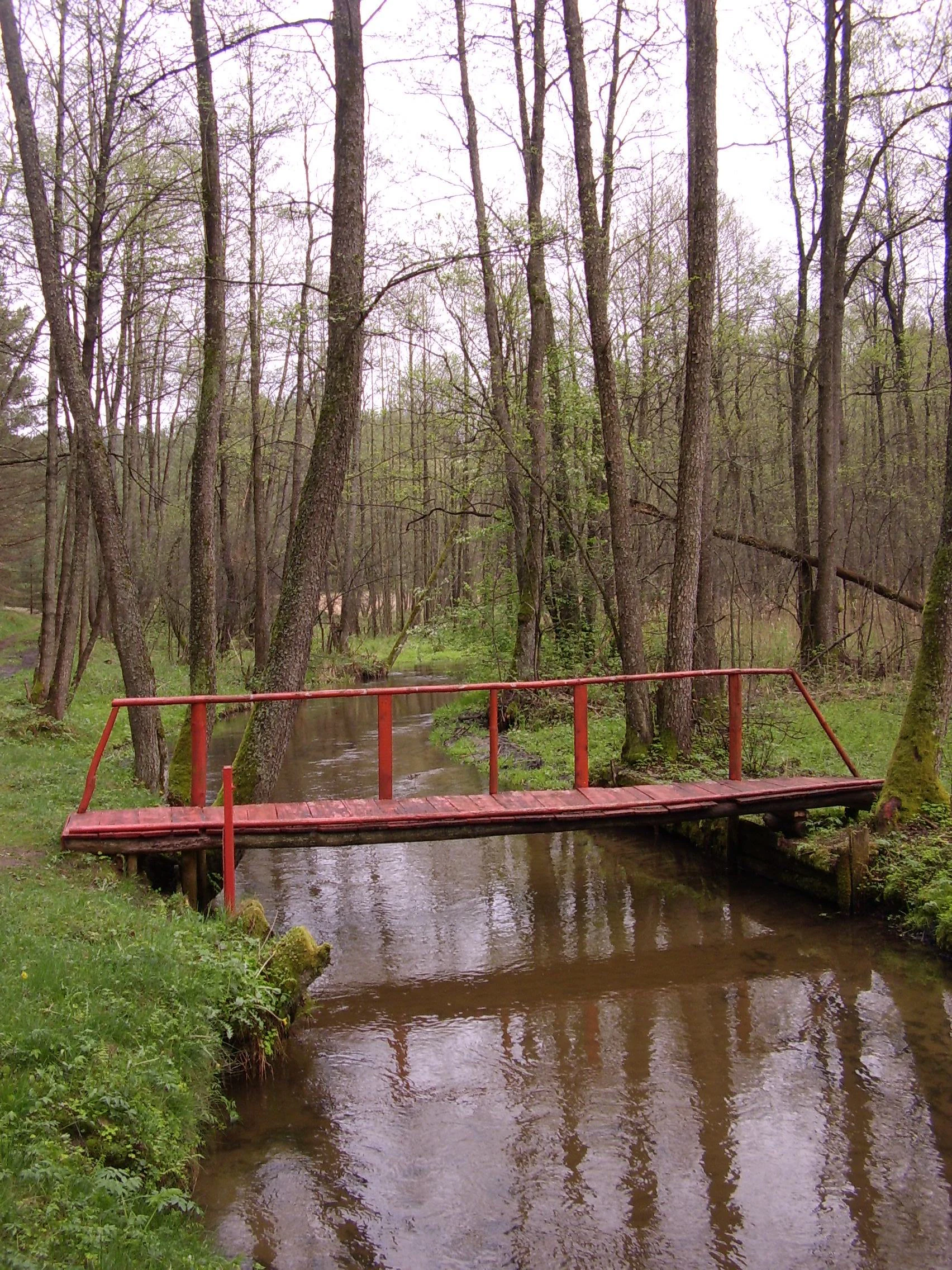 A narrow red pedestrian footbridge spans a small, gently flowing forest stream in a temperate woodland setting.