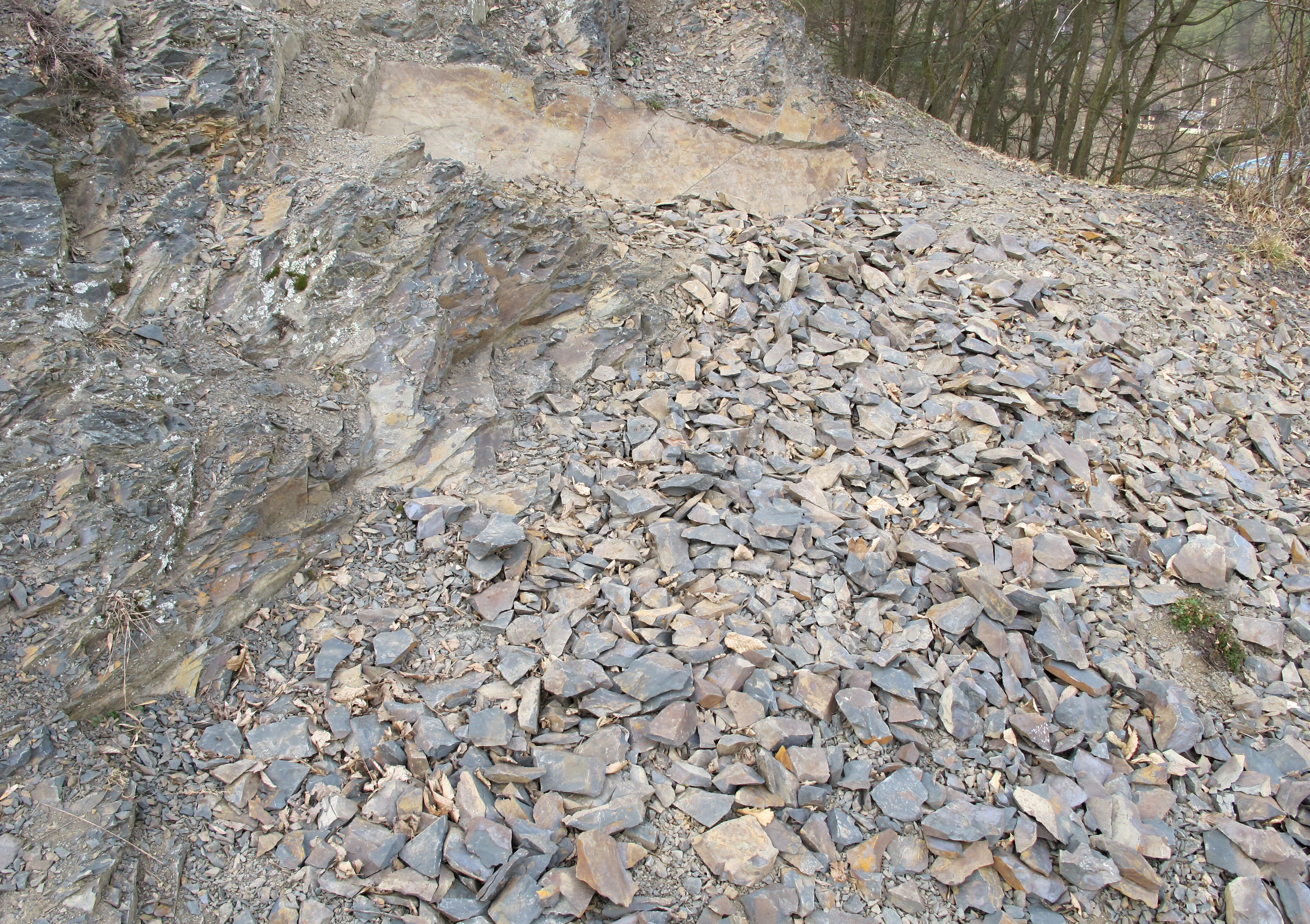 A view of a rocky slope covered in loose grey stones and shale fragments, with a rocky outcrop on the left and bare trees in the background.