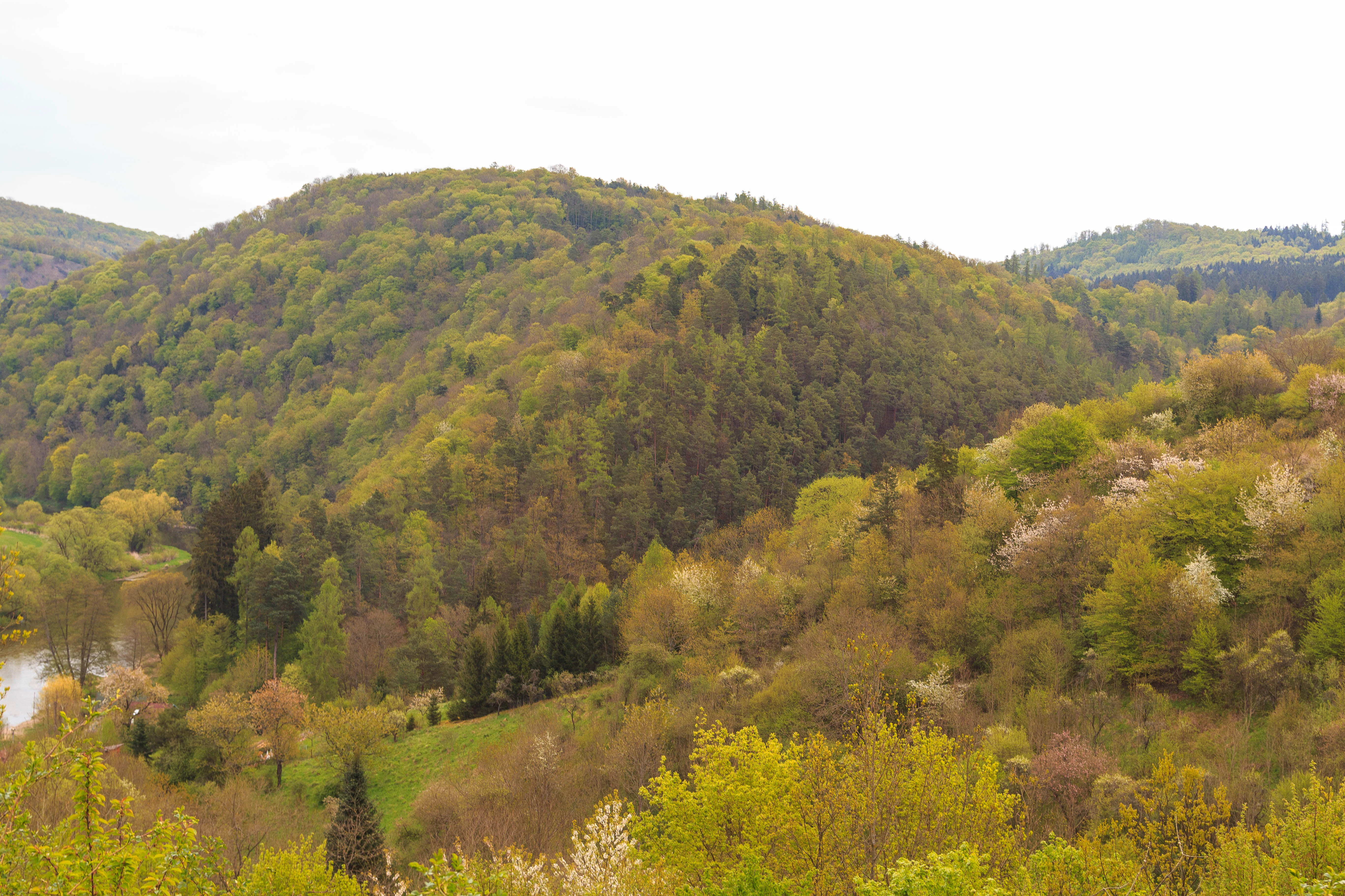 A wide landscape view of densely forested hills with mixed green and budding trees under an overcast sky, with a small portion of a river visible on the left edge.