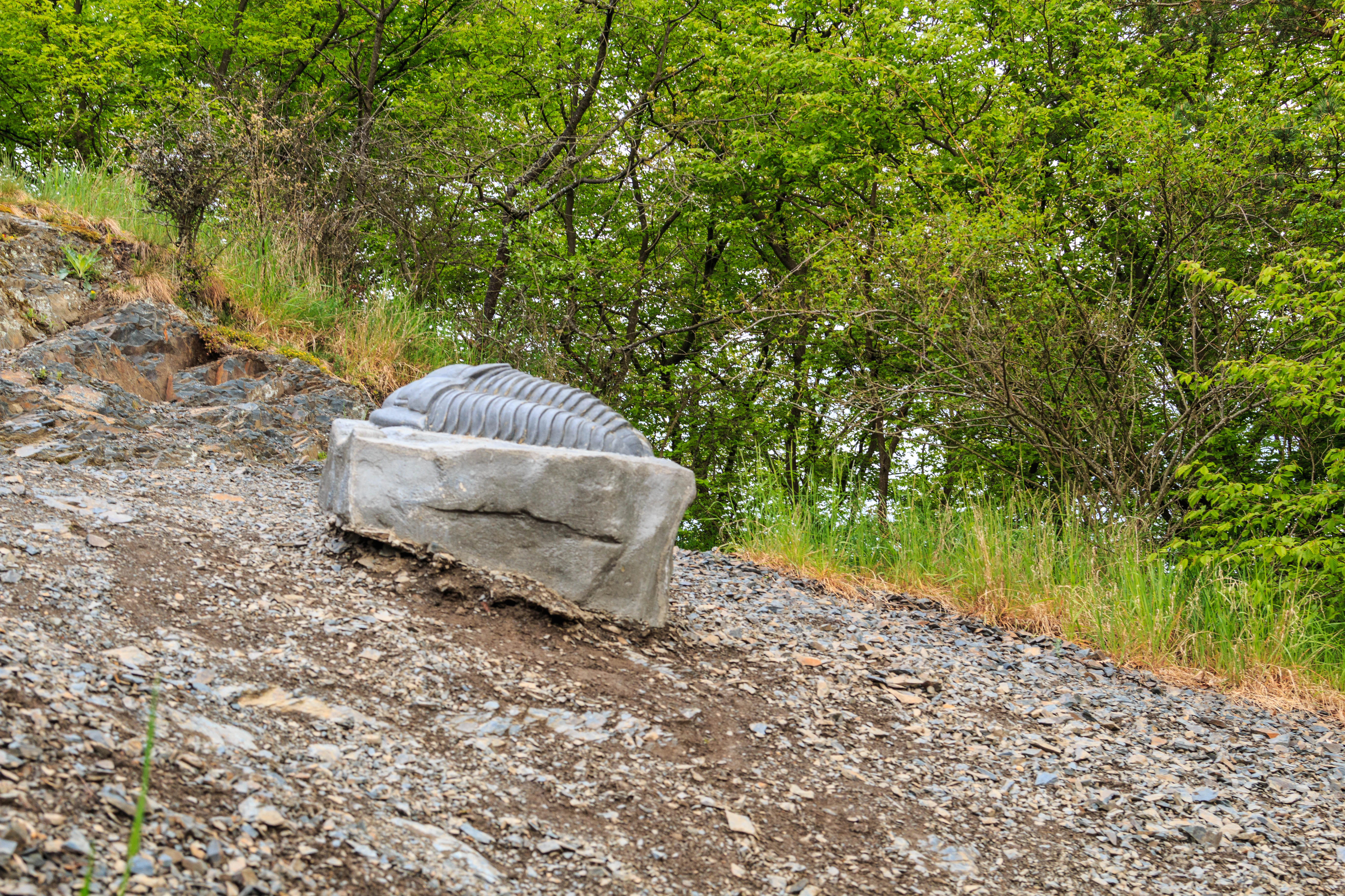 A gray stone sculpture of a trilobite resting on a rocky gravelly slope with green trees and vegetation in the background