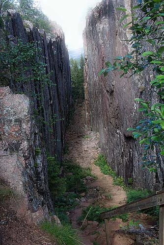 A narrow rocky crevasse with a dirt path flanked by steep rock walls and vegetation
