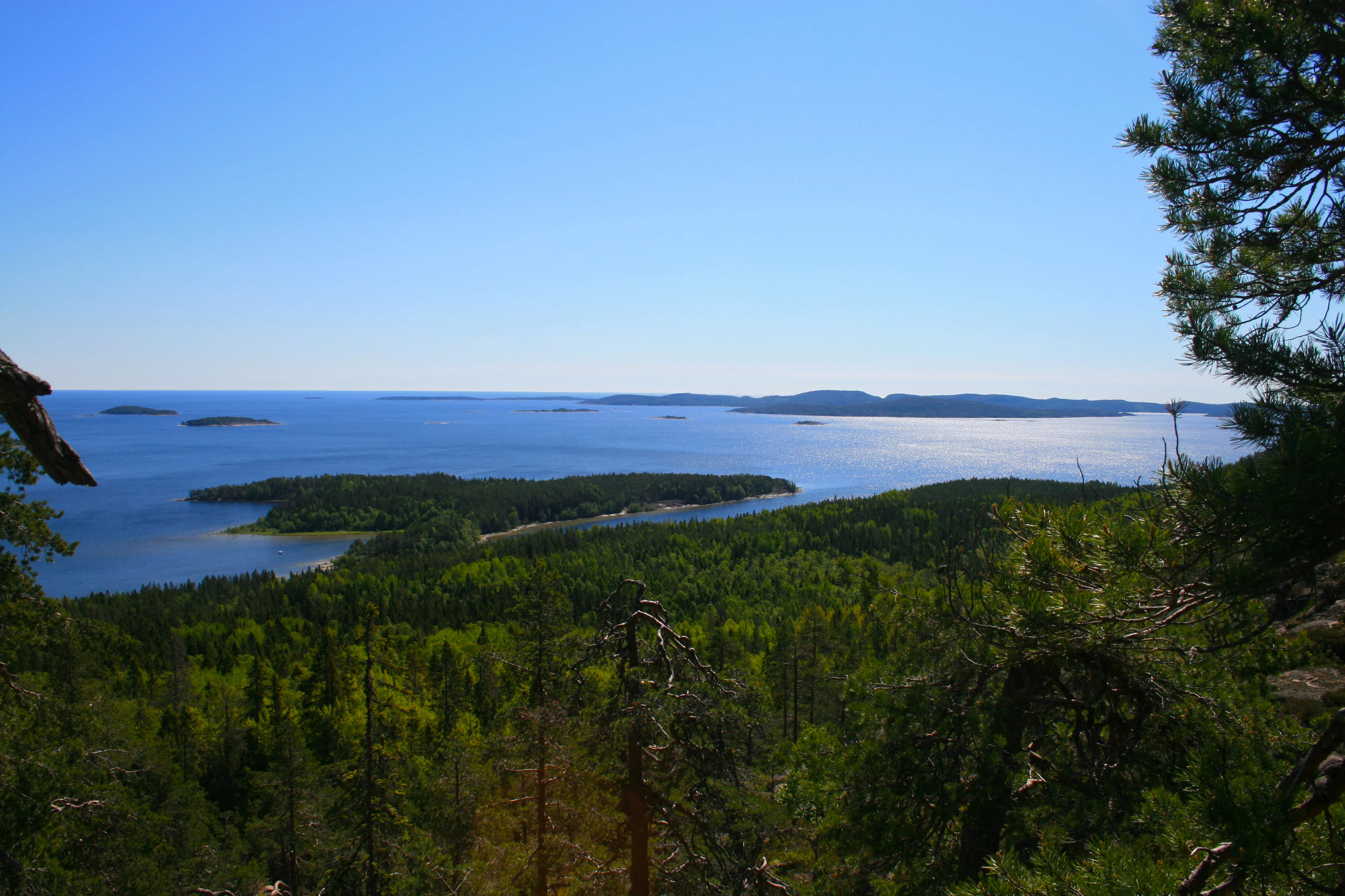 Panoramic view of Tärnättholmarna islets surrounded by blue water with dense green forest in the foreground under a clear blue sky